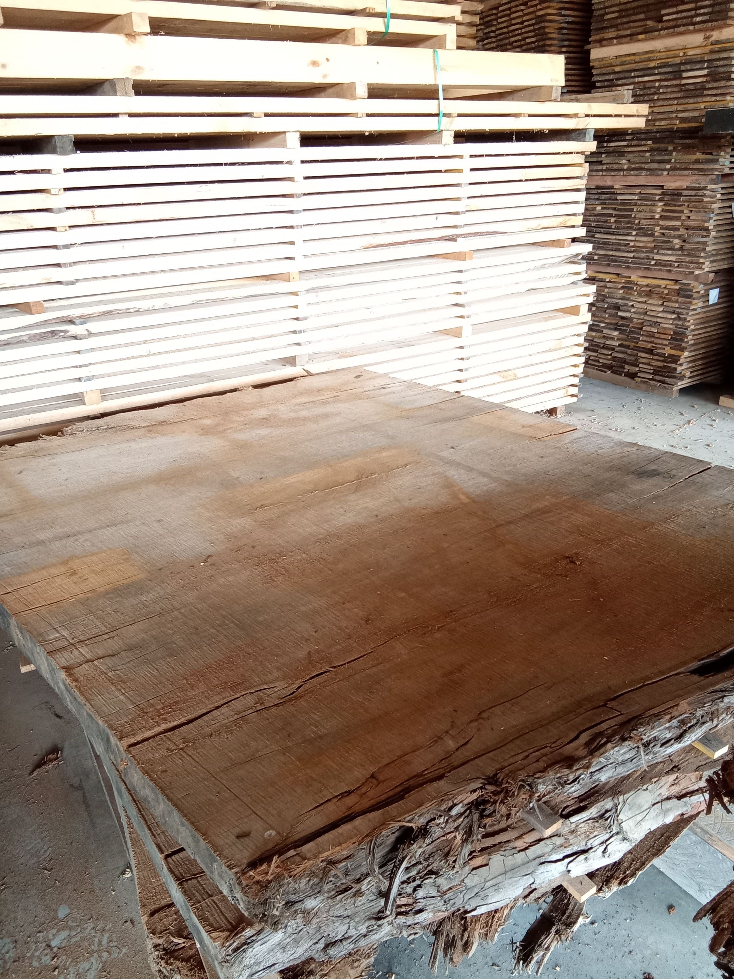 Kauri Slab #16 view 1