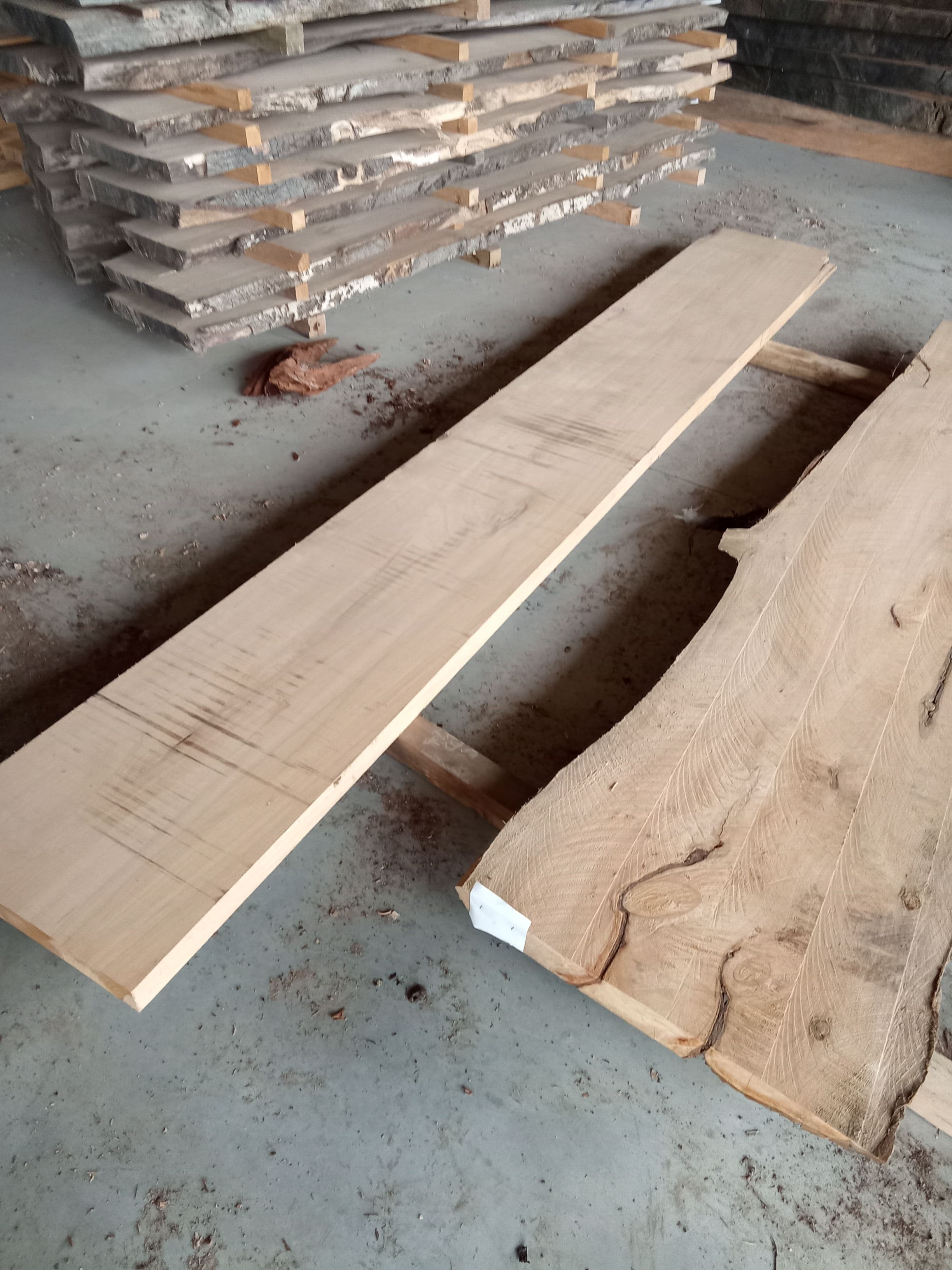 Macrocarpa Slab #20 view 1