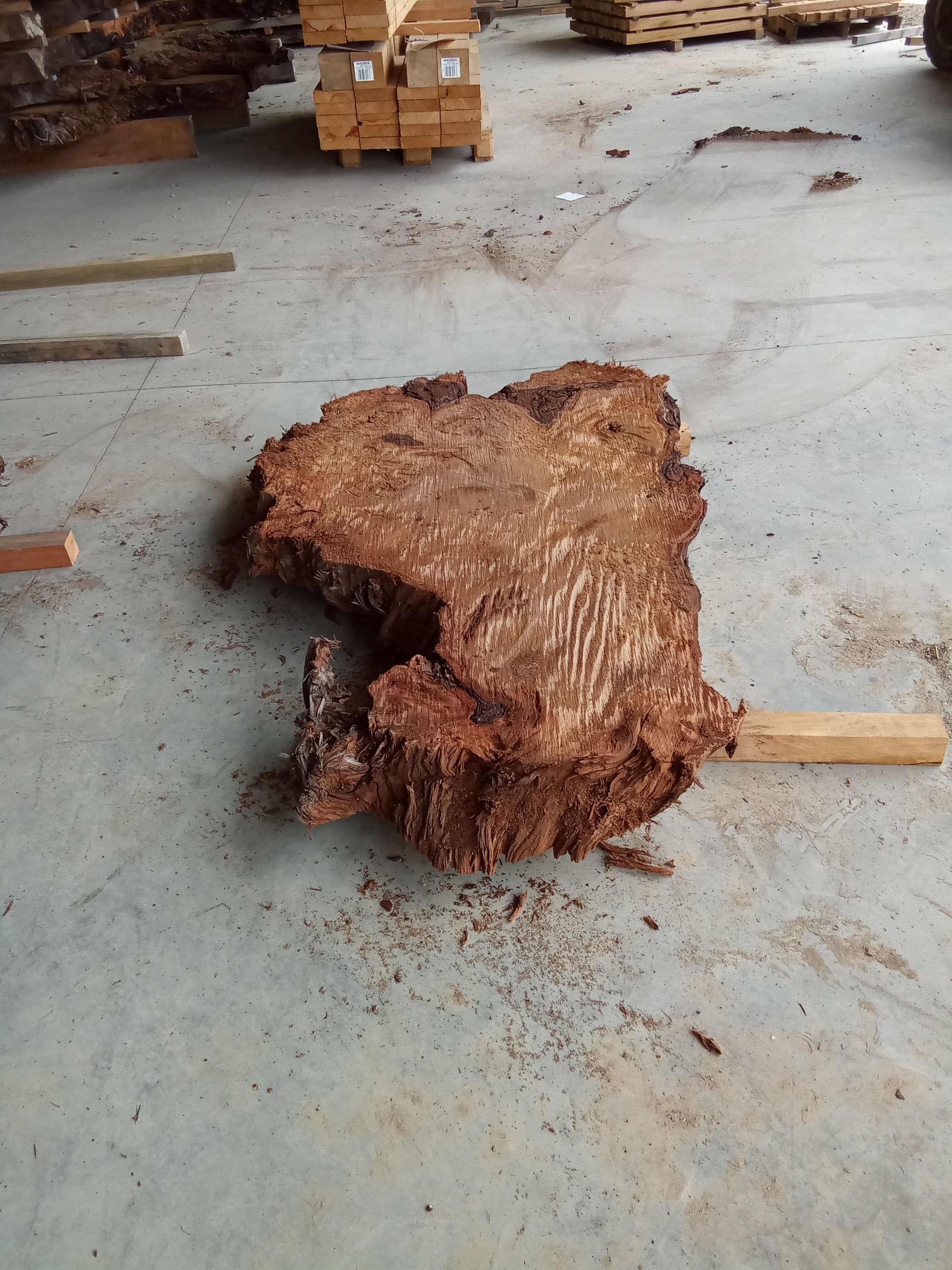 Kauri Slab #3