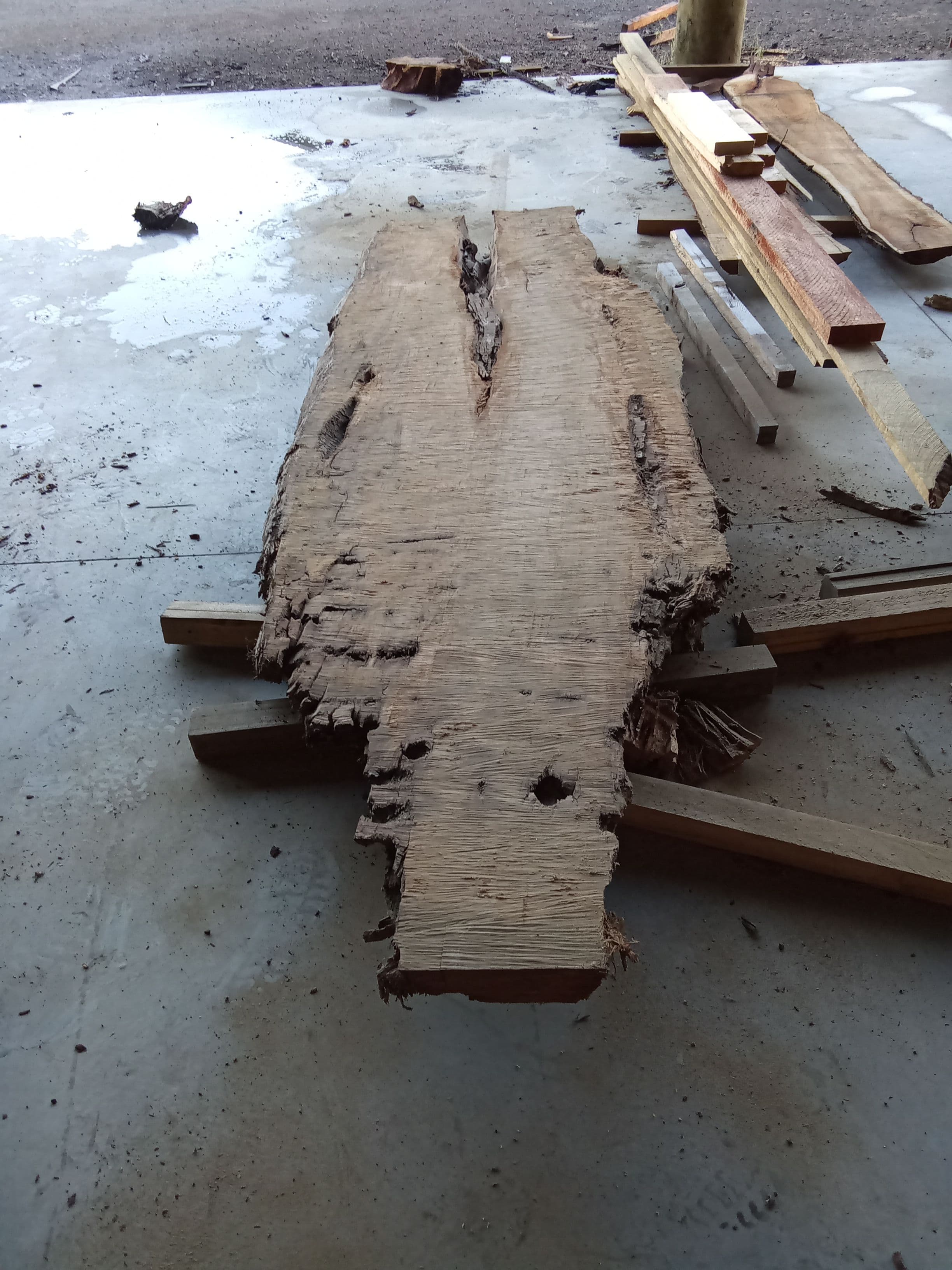 Kauri Slab #10