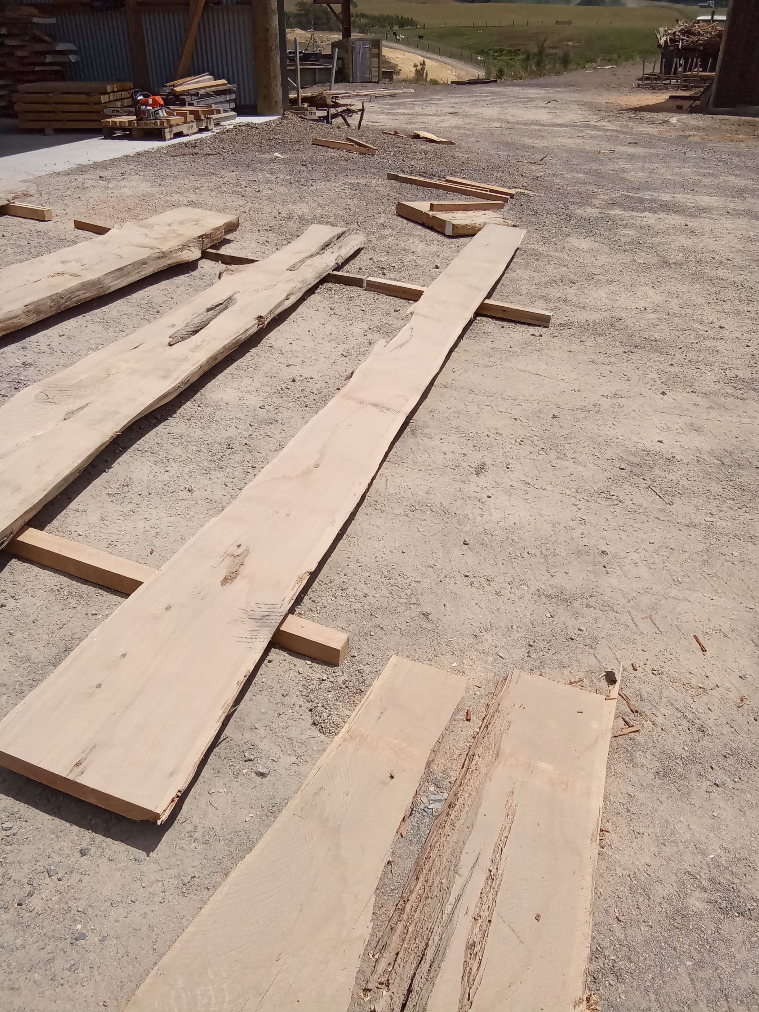 Macrocarpa Slab #19 view 1