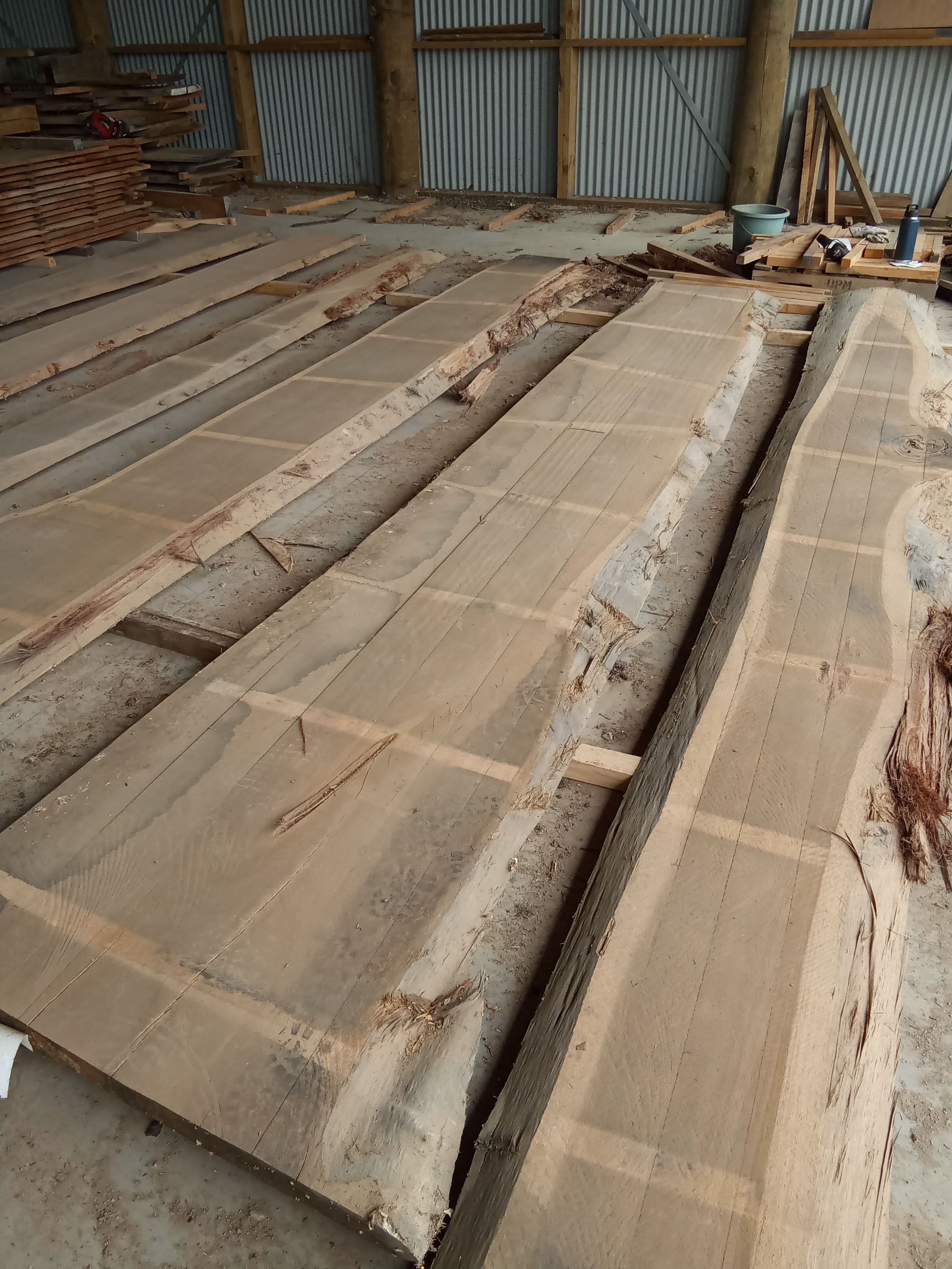 Blackbutt Eucalyptus Slab #10 view 1