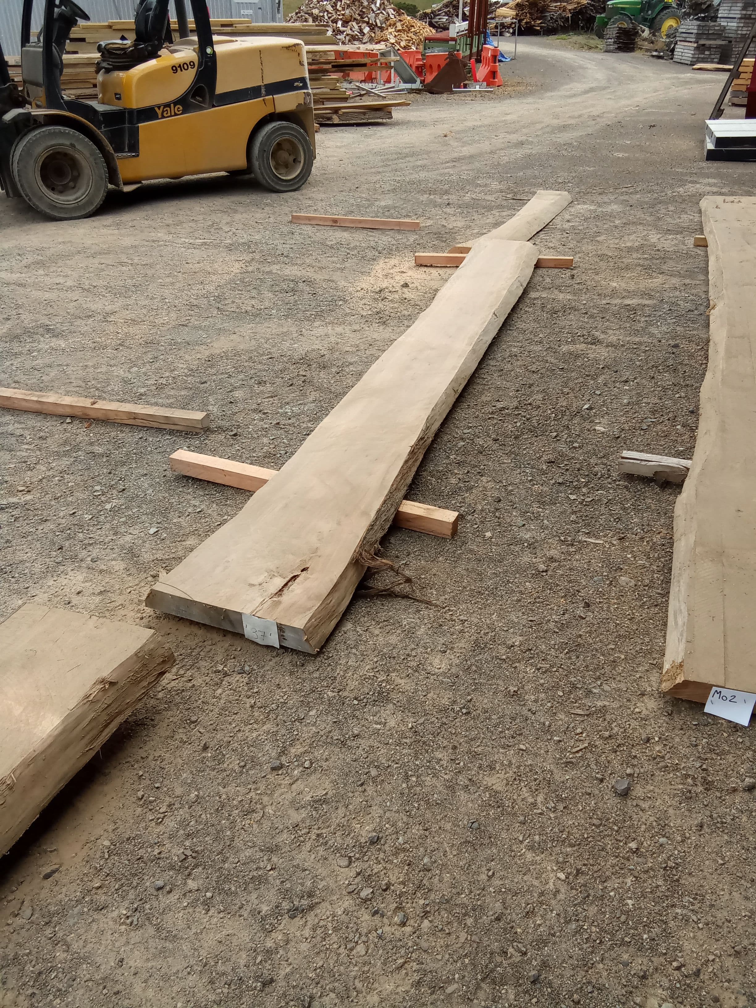 Macrocarpa Slab #4 view 1