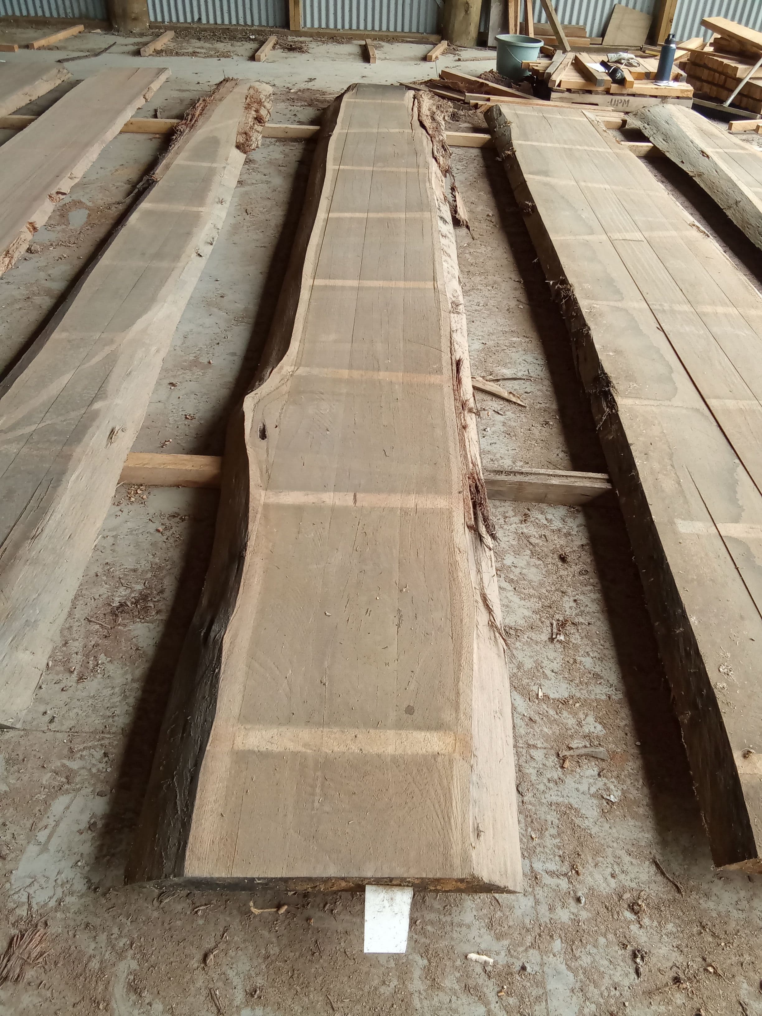 Blackbutt Eucalyptus Slab #9 view 2