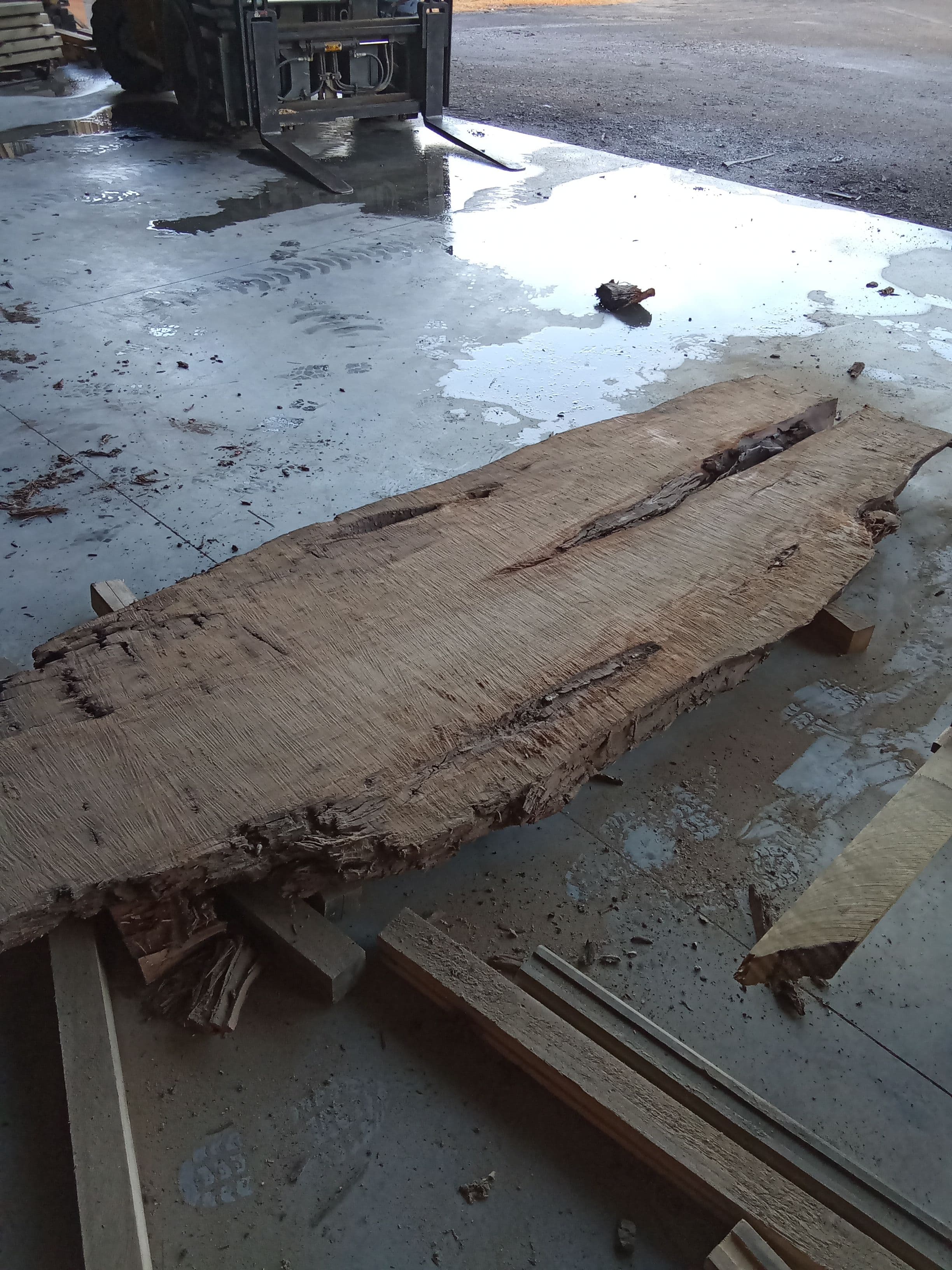 Kauri Slab #10 view 1