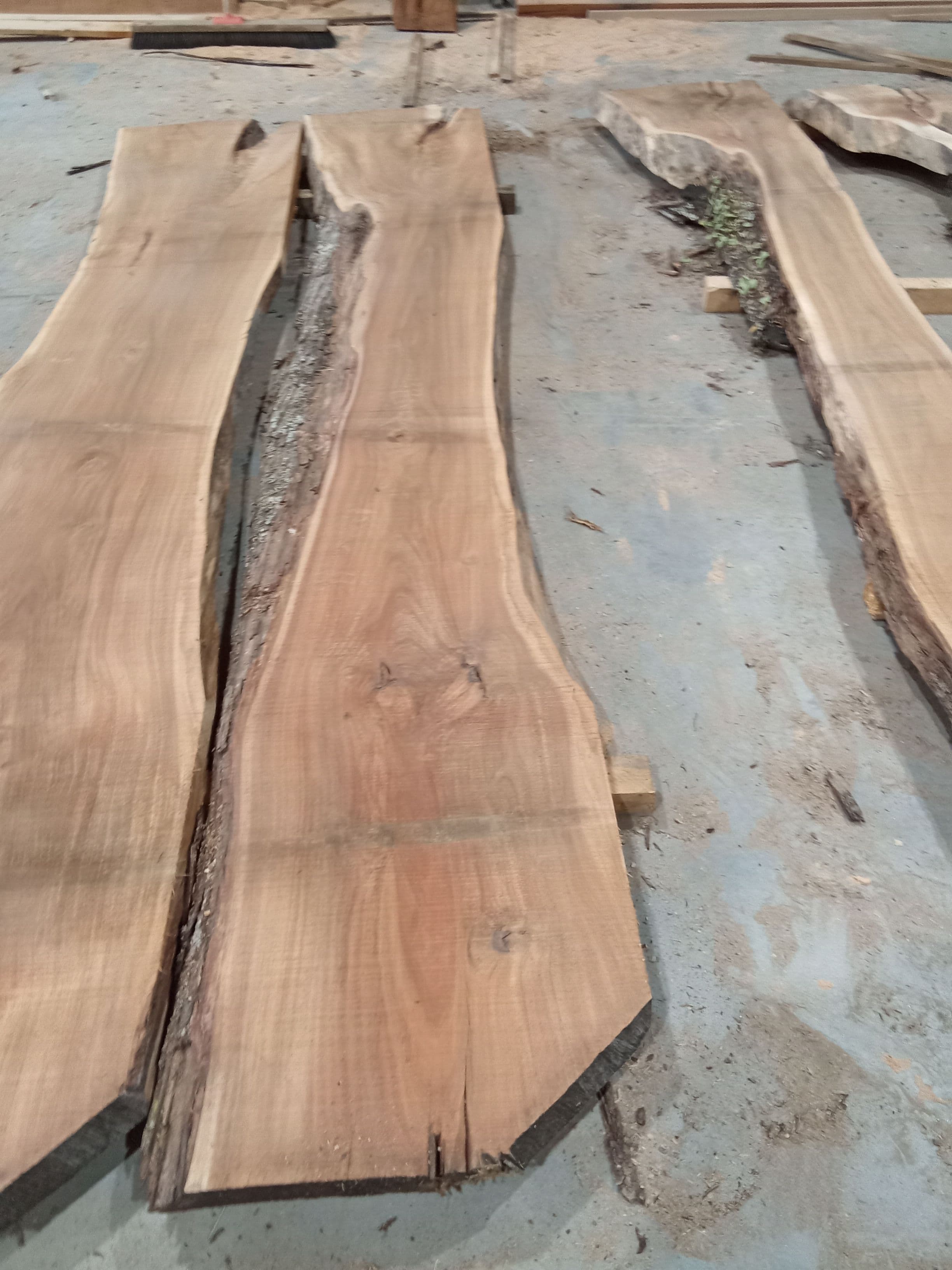 Blackwood Slab #3 view 2