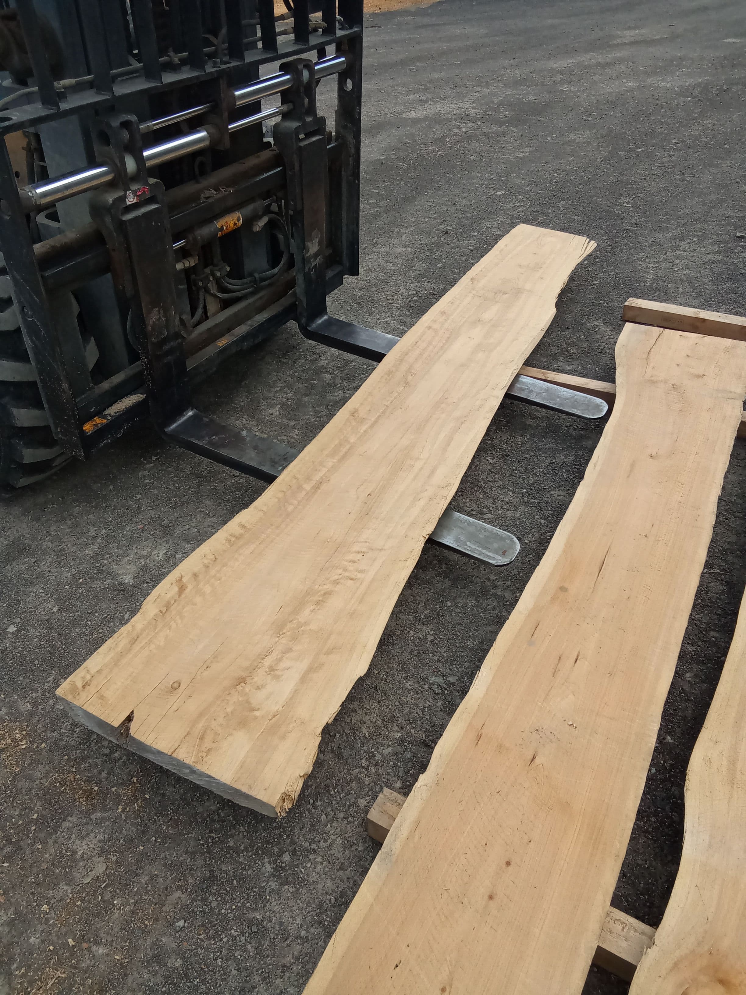 Macrocarpa Slab #40 view 1
