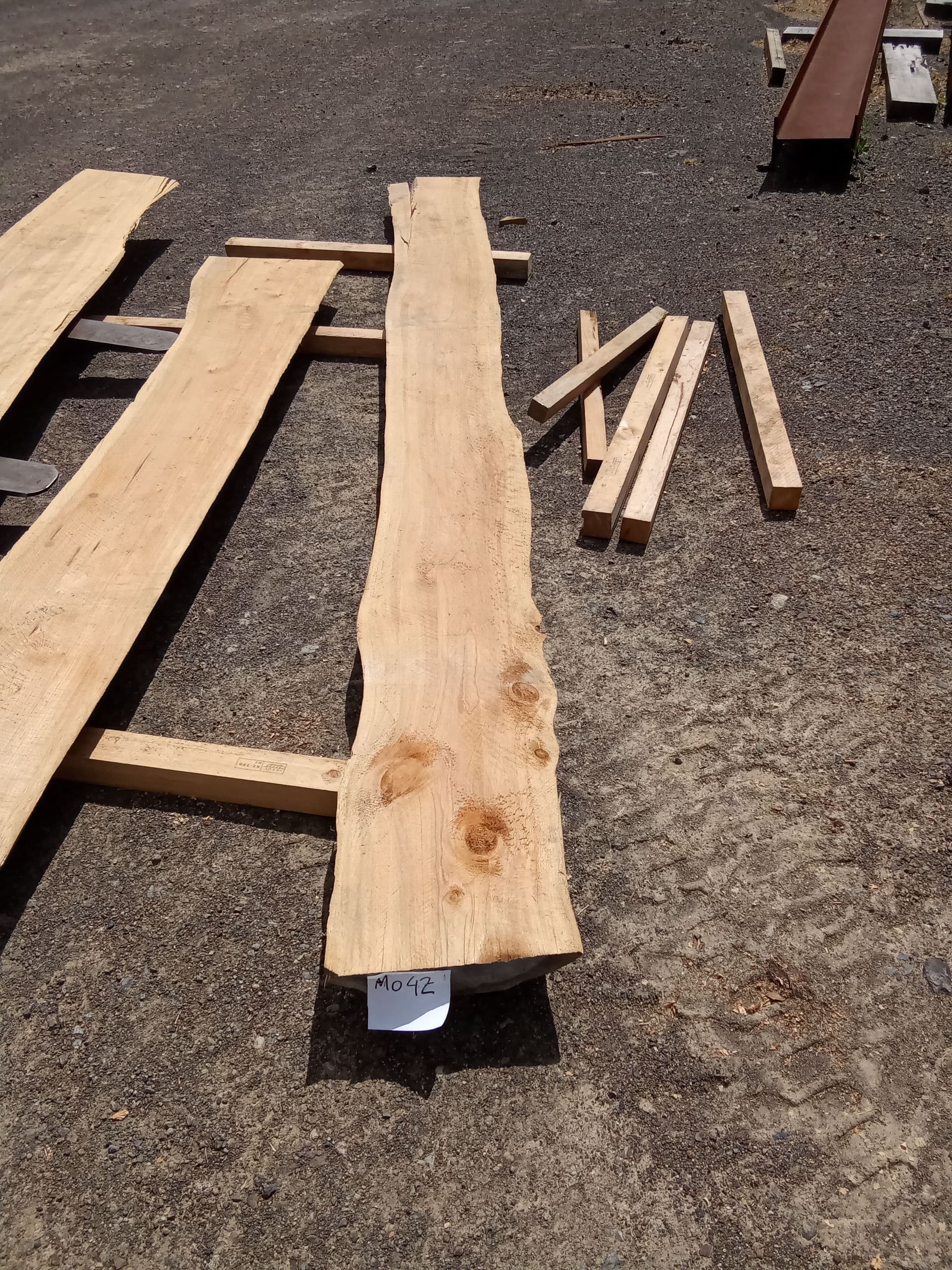 Macrocarpa Slab #42 view 2