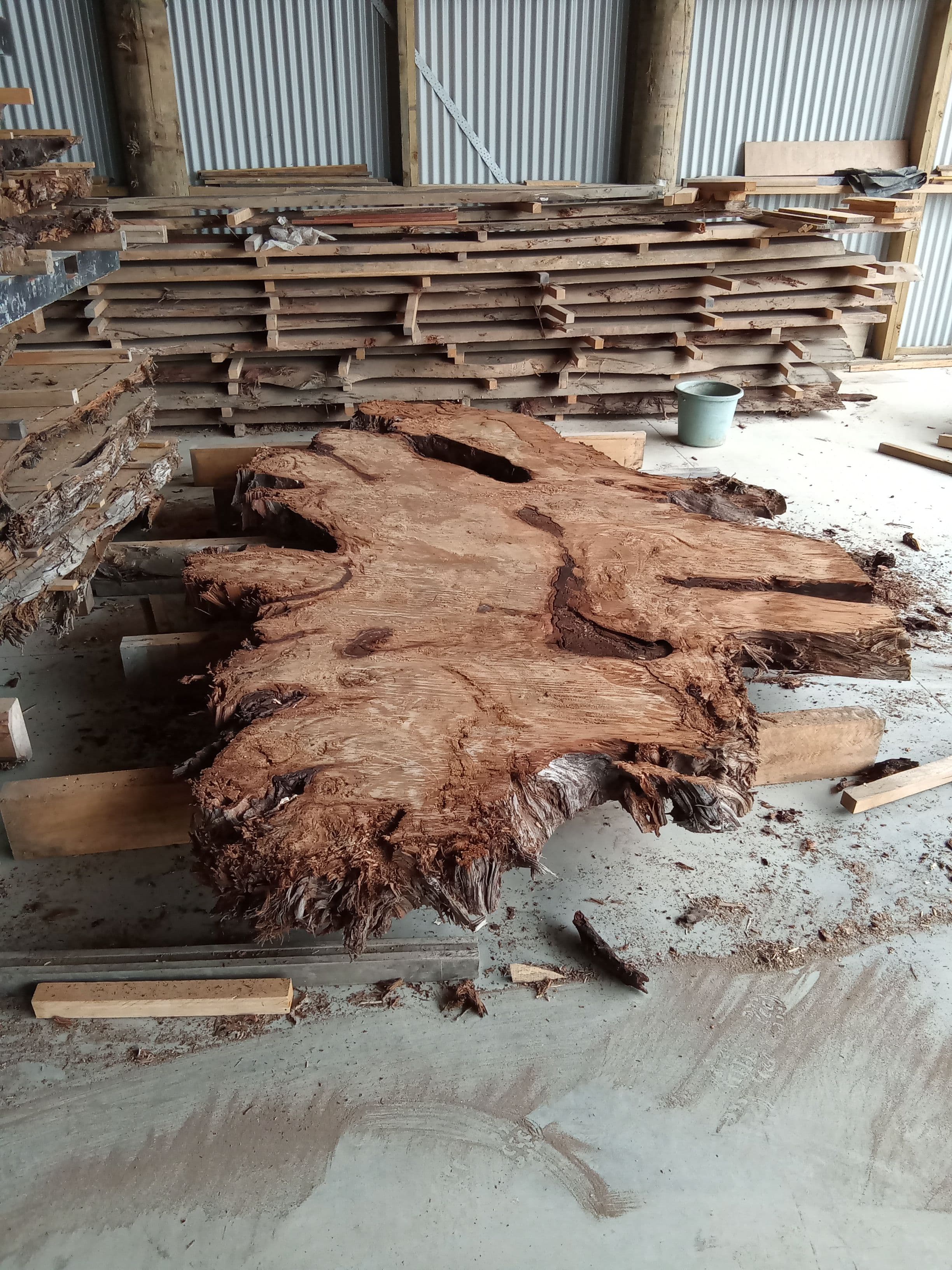 Kauri Slab #9