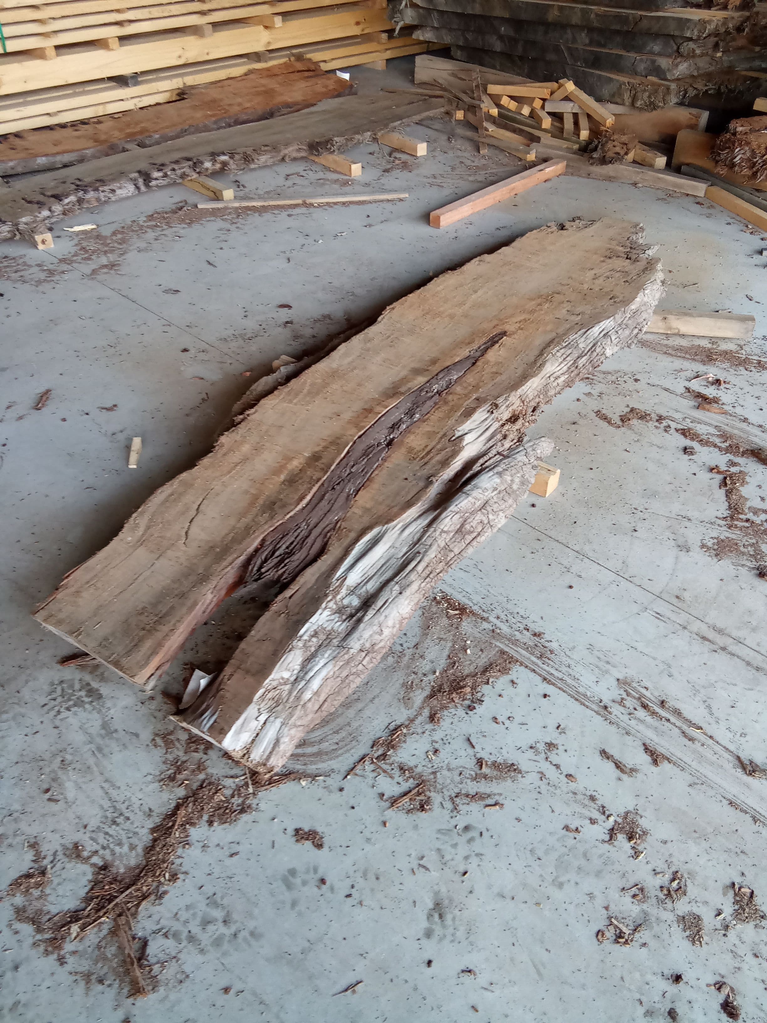 Kauri Slab #11 view 1