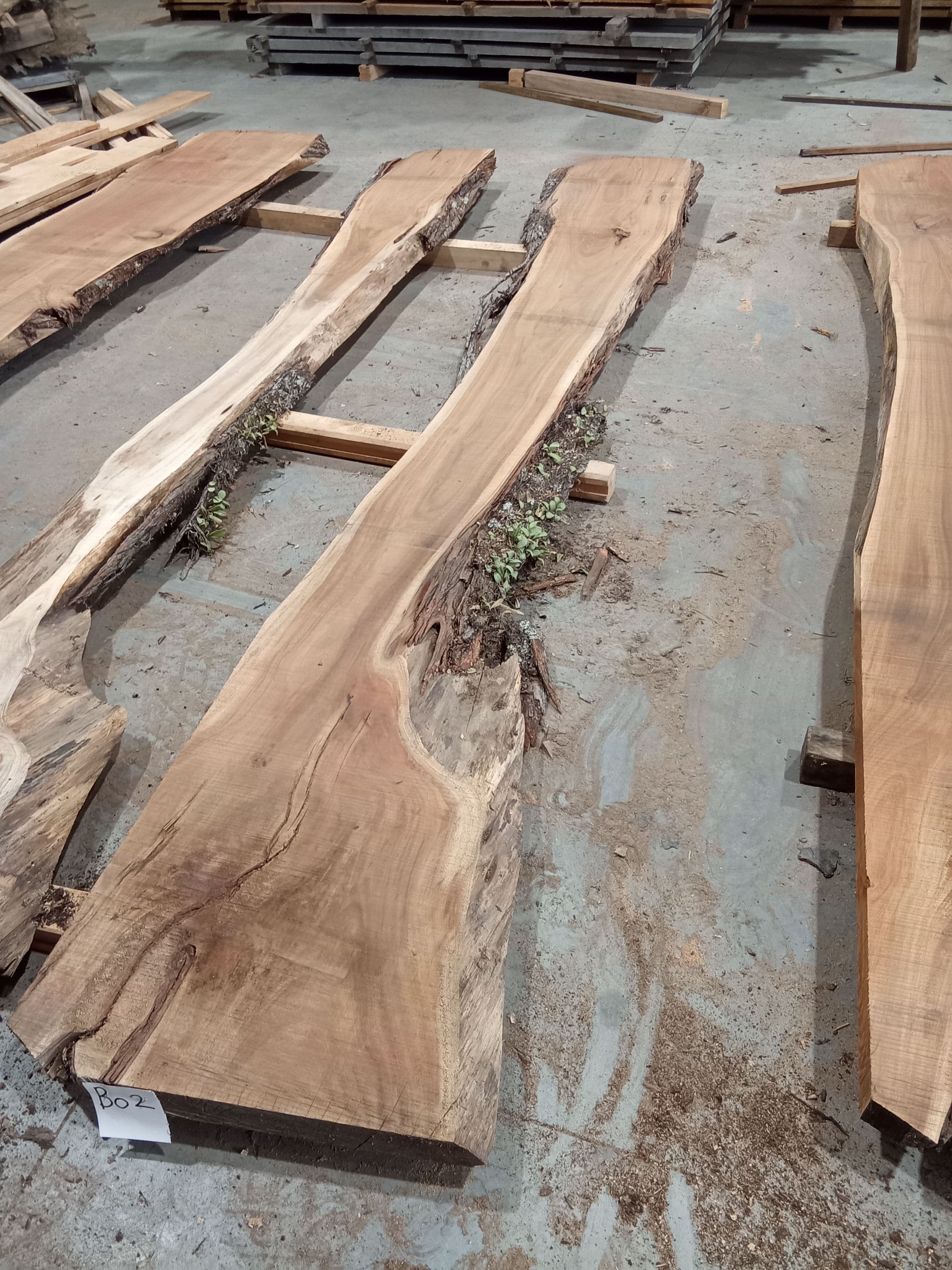 Blackwood Slab #2 view 1