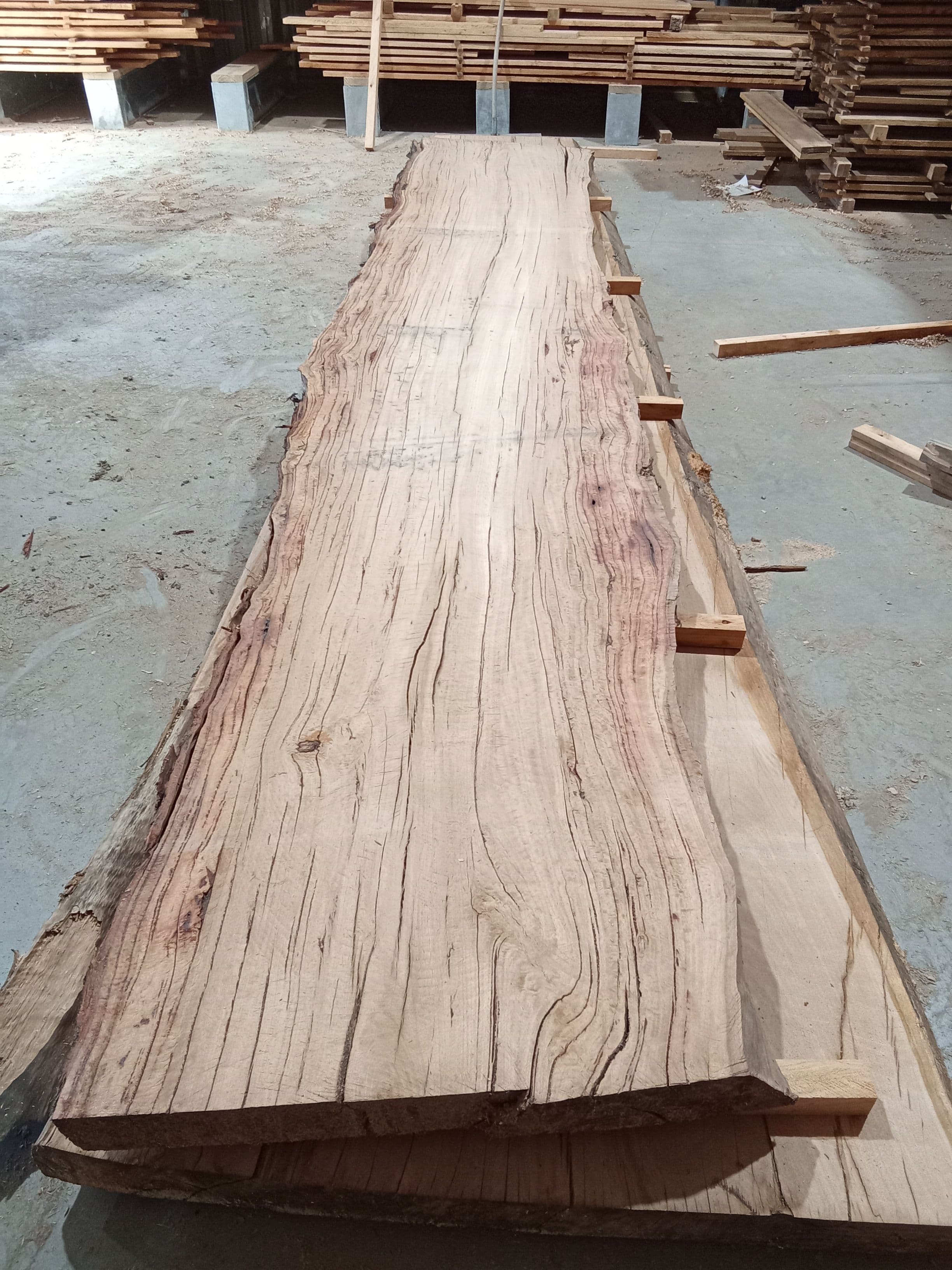 Blackbutt Eucalyptus Slab #2