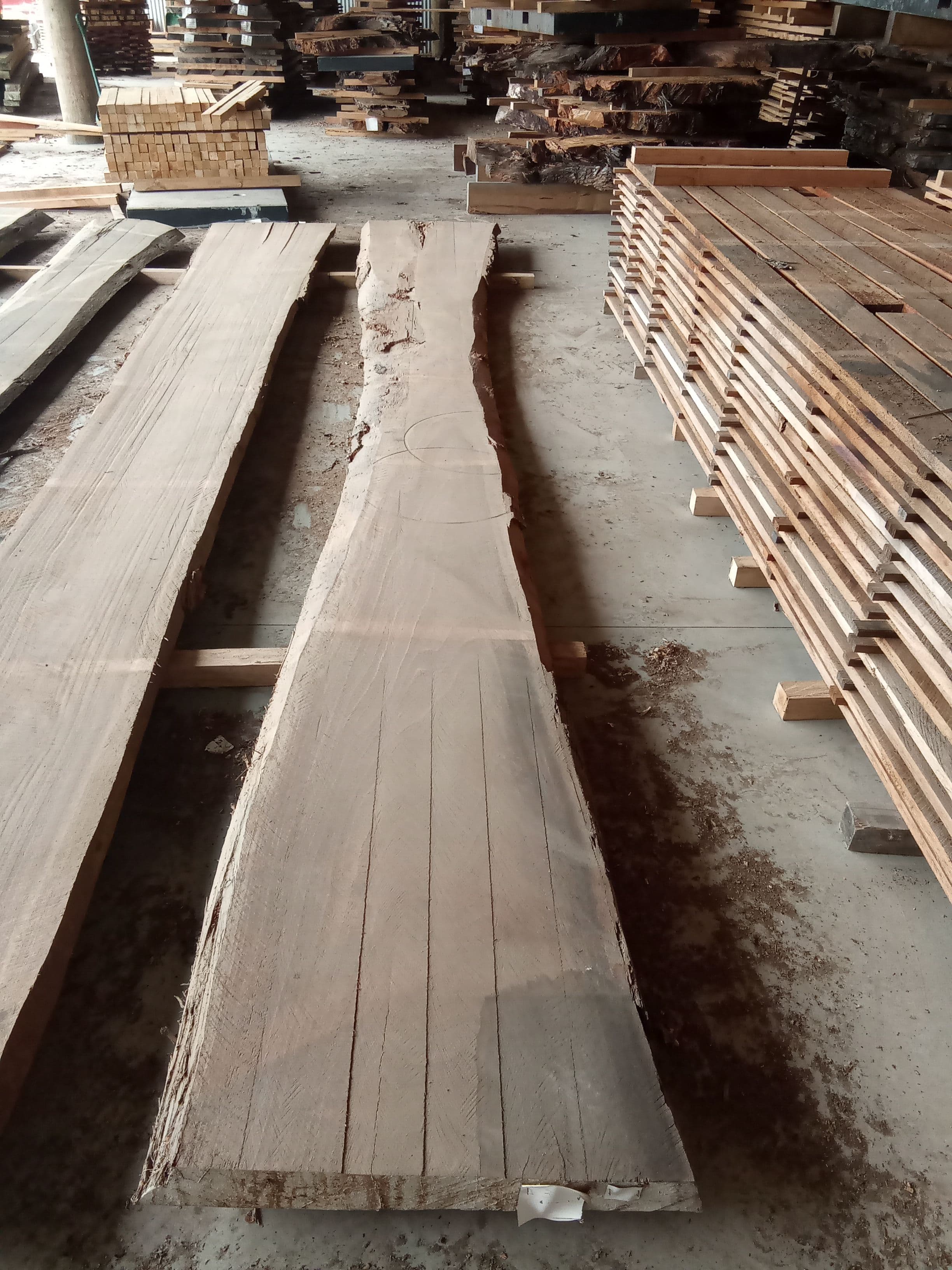 Saligna Eucalyptus Slab #6 view 2