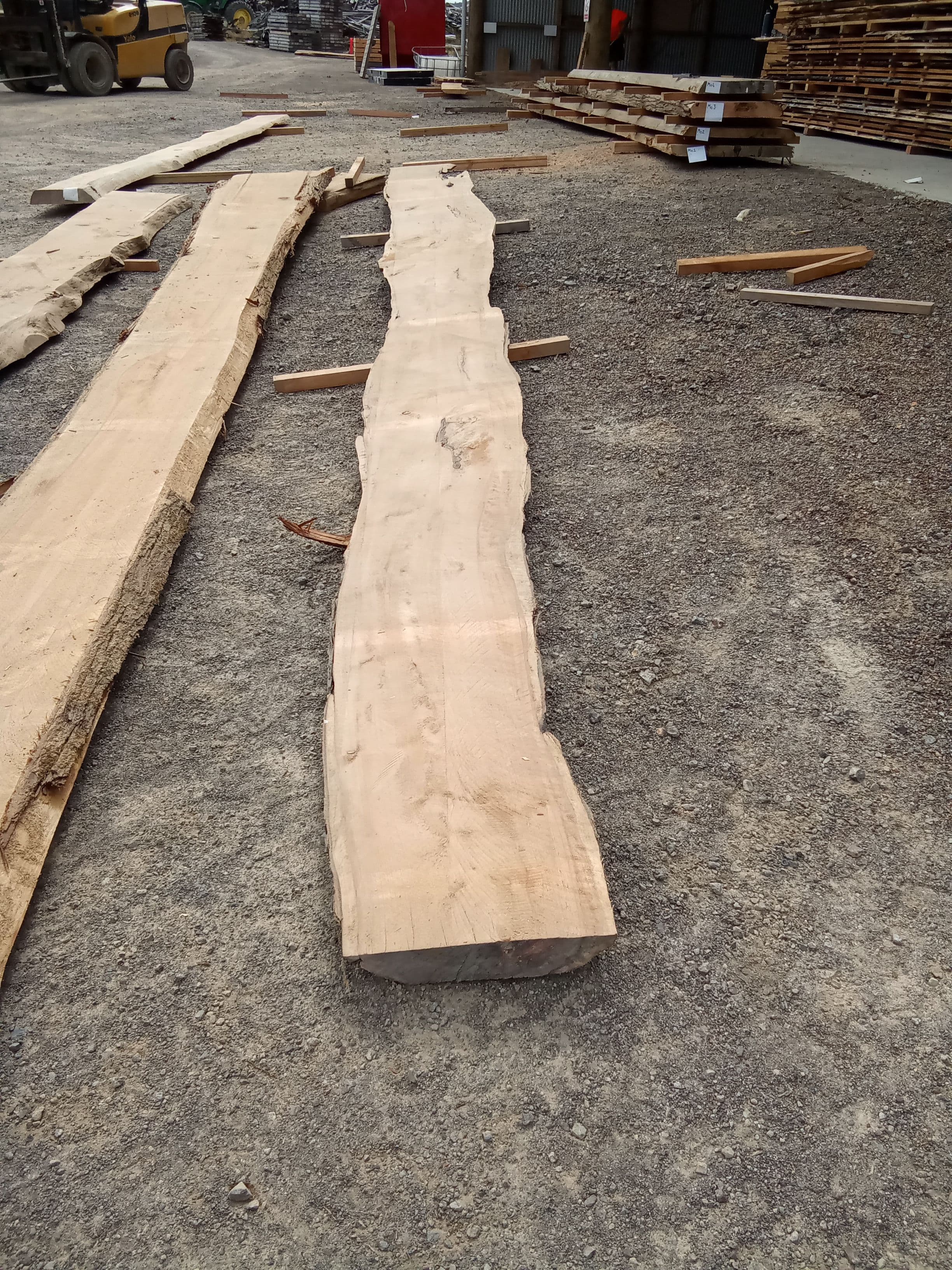 Macrocarpa Slab #6 view 2