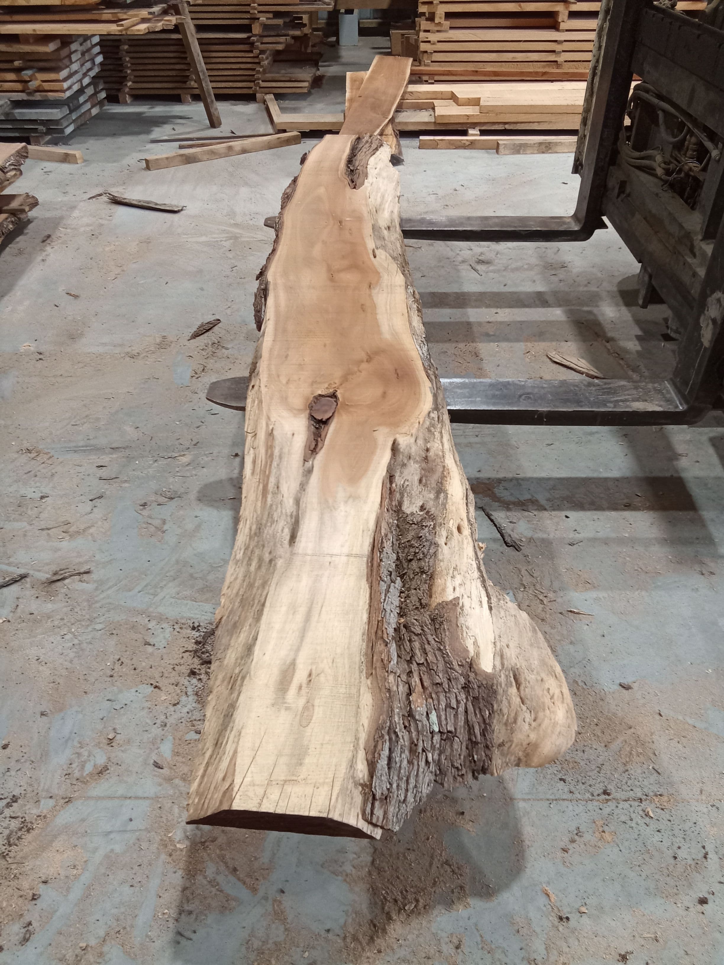Blackwood Slab #7