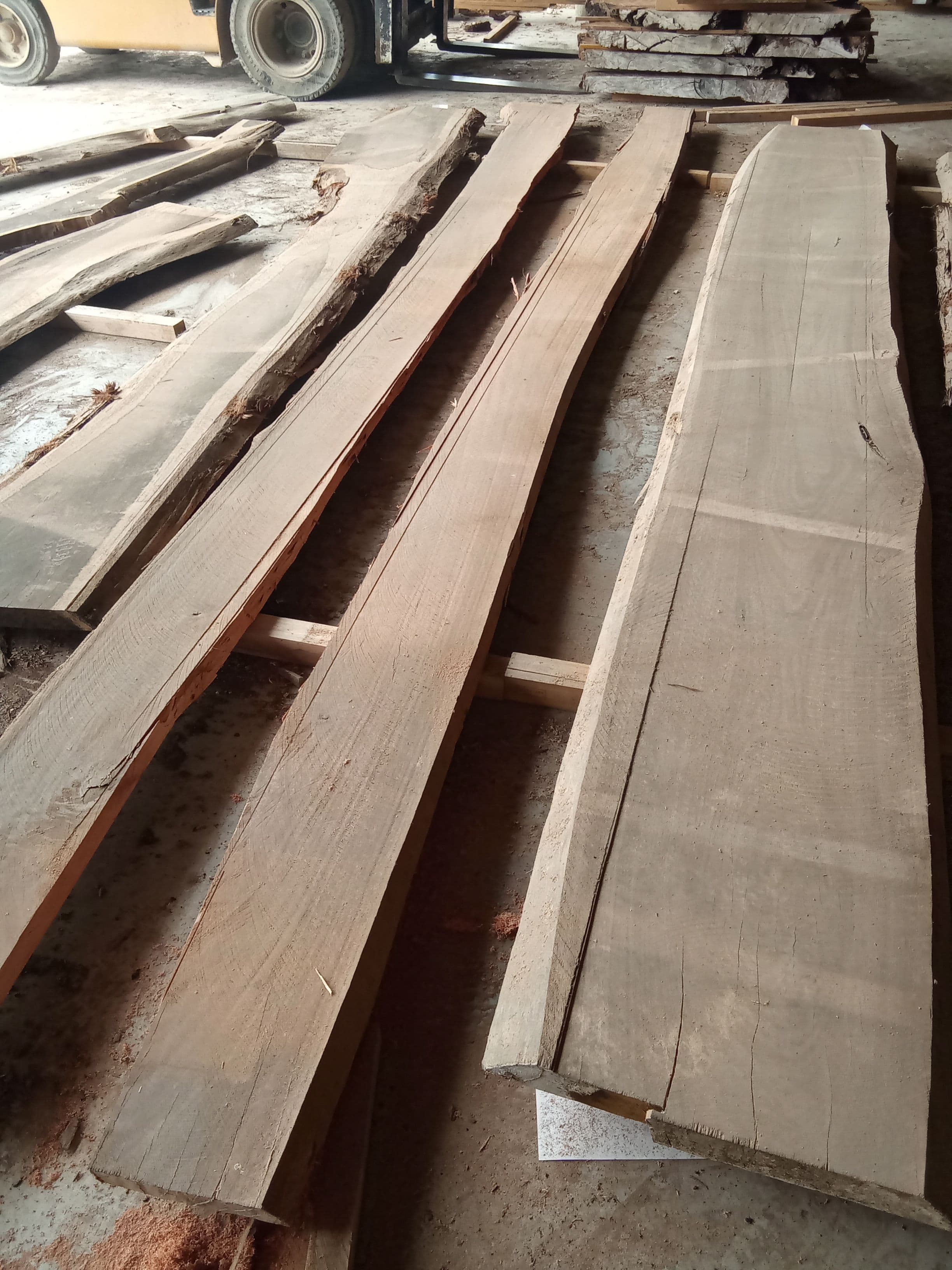 Saligna Eucalyptus Slab #15 view 1