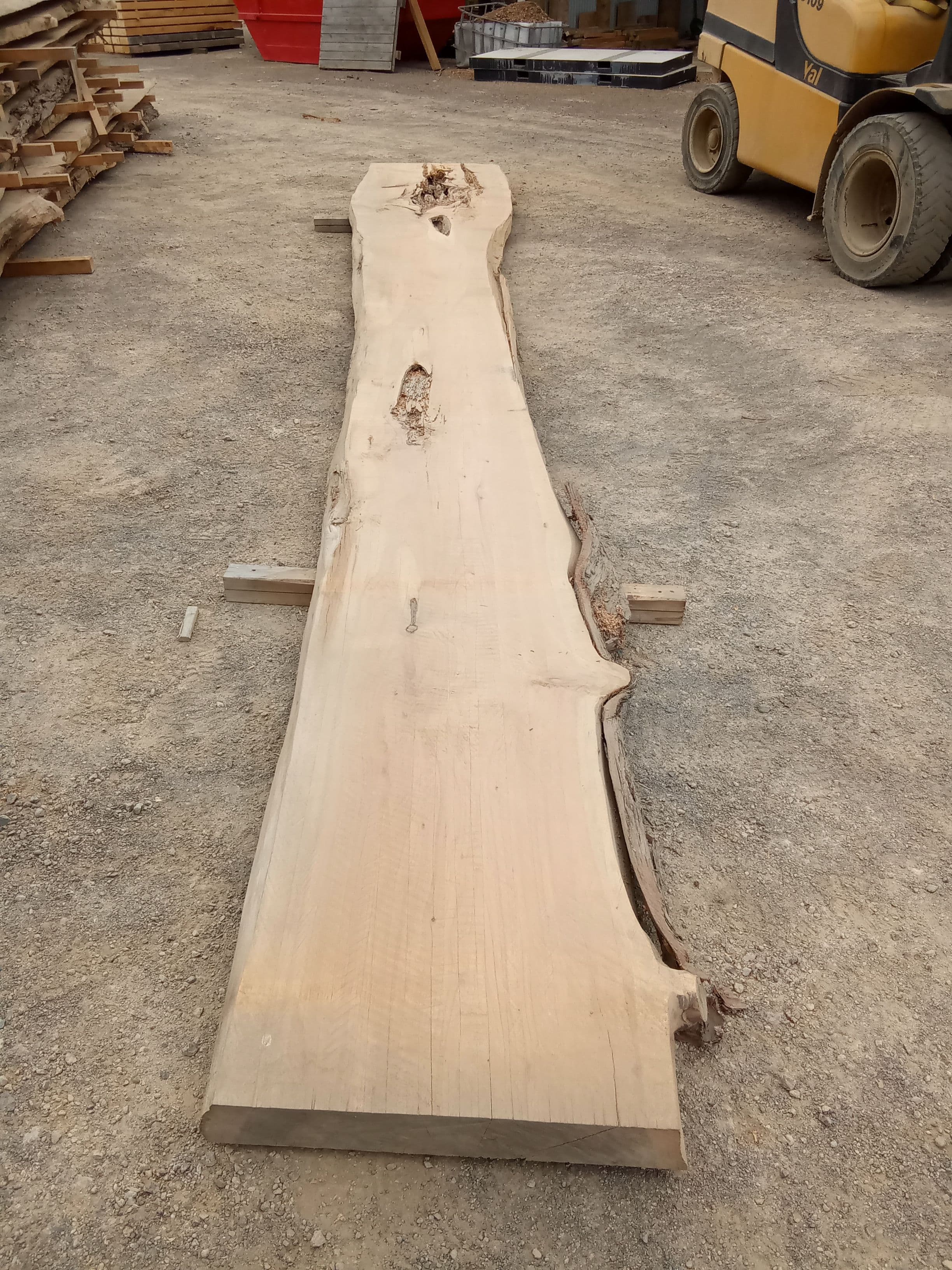 Macrocarpa Slab #11