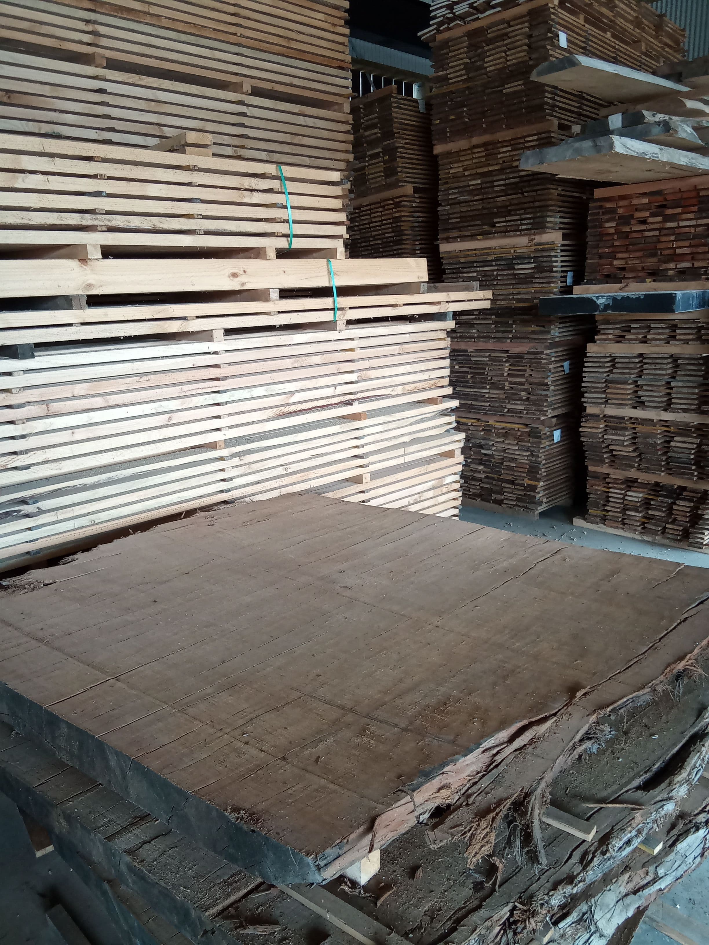 Kauri Slab #15 view 2