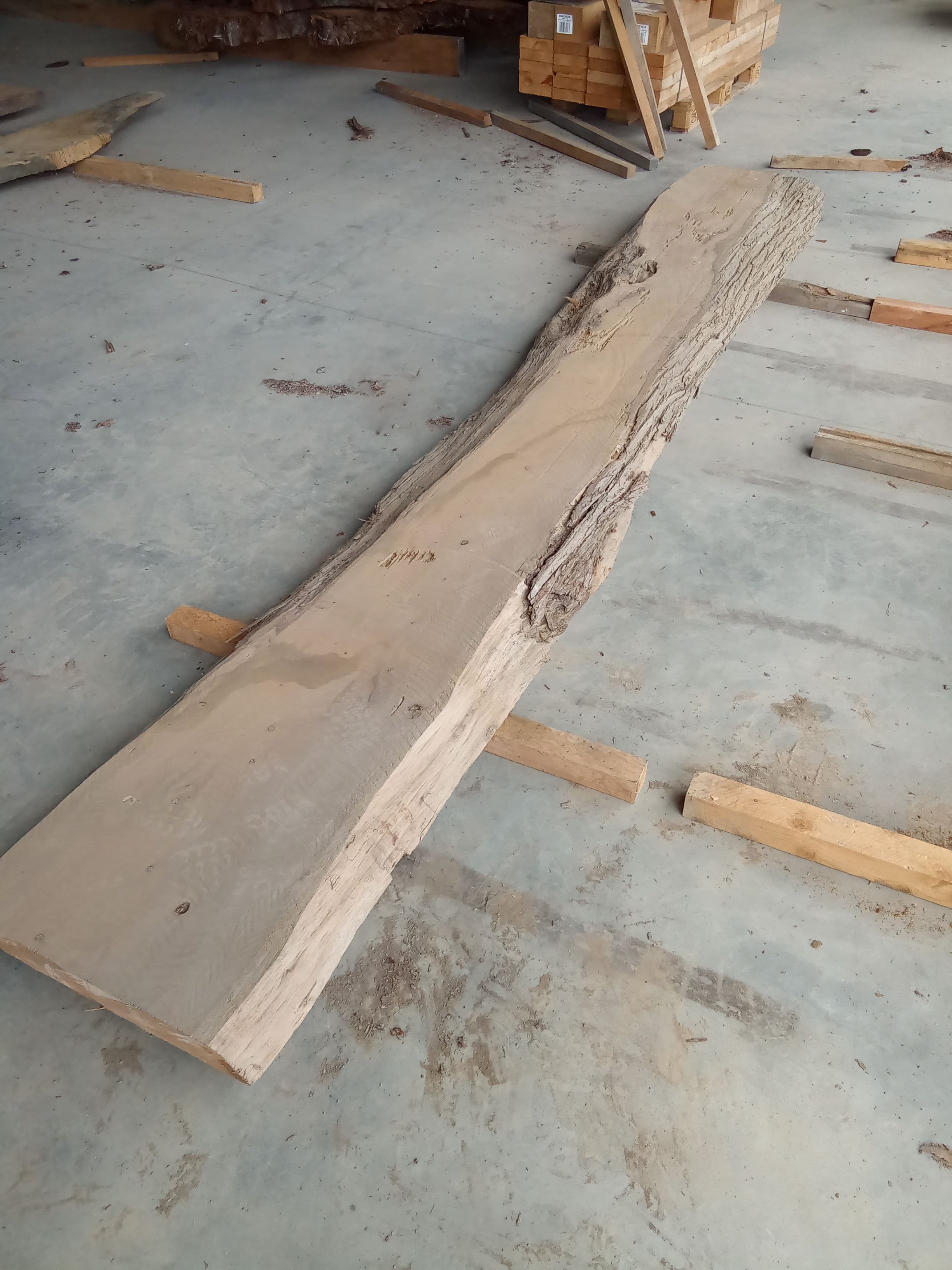 Macrocarpa Slab #24 view 1