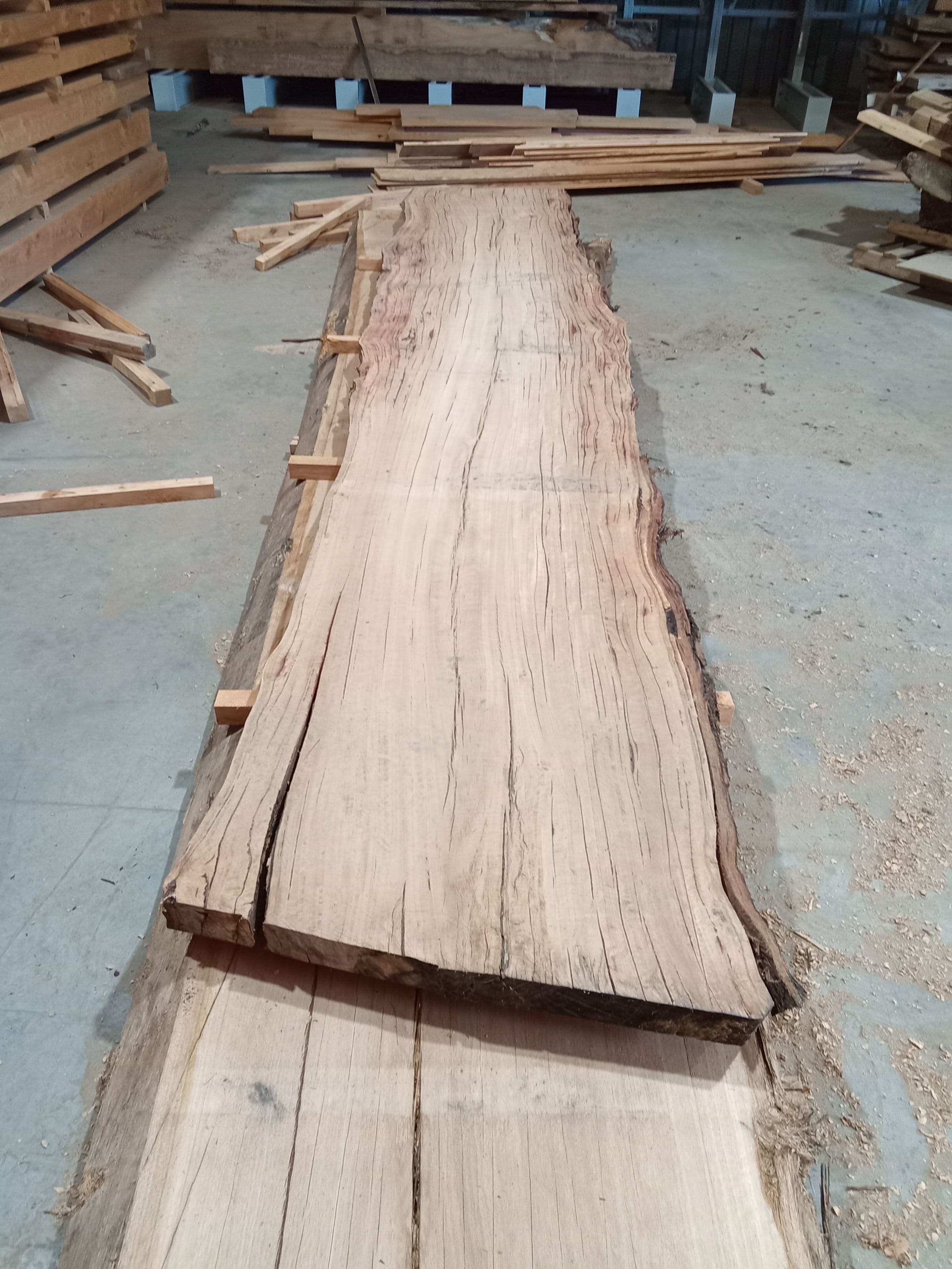 Blackbutt Eucalyptus Slab #2 view 2