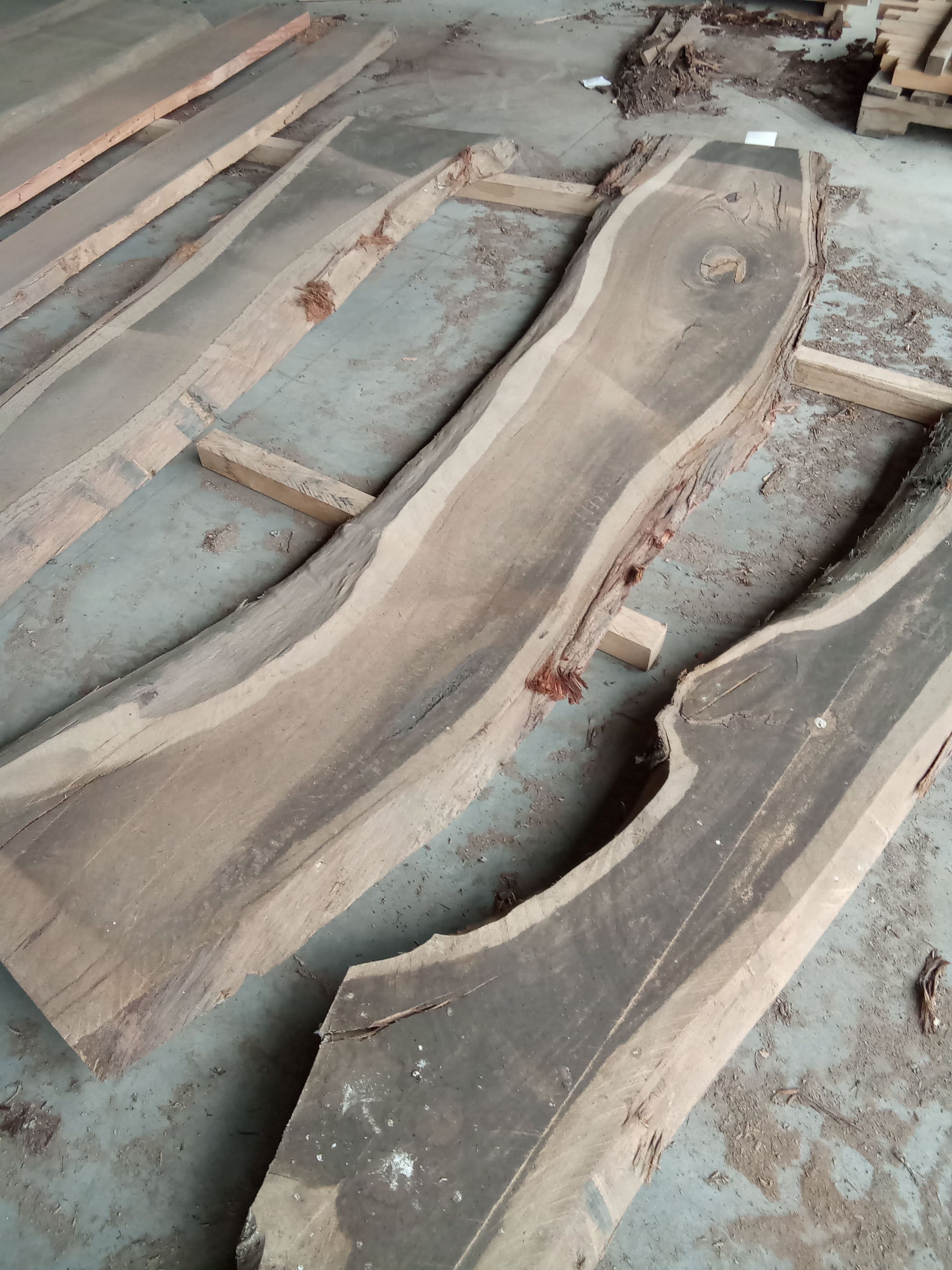 Blackbutt Eucalyptus Slab #18 view 1