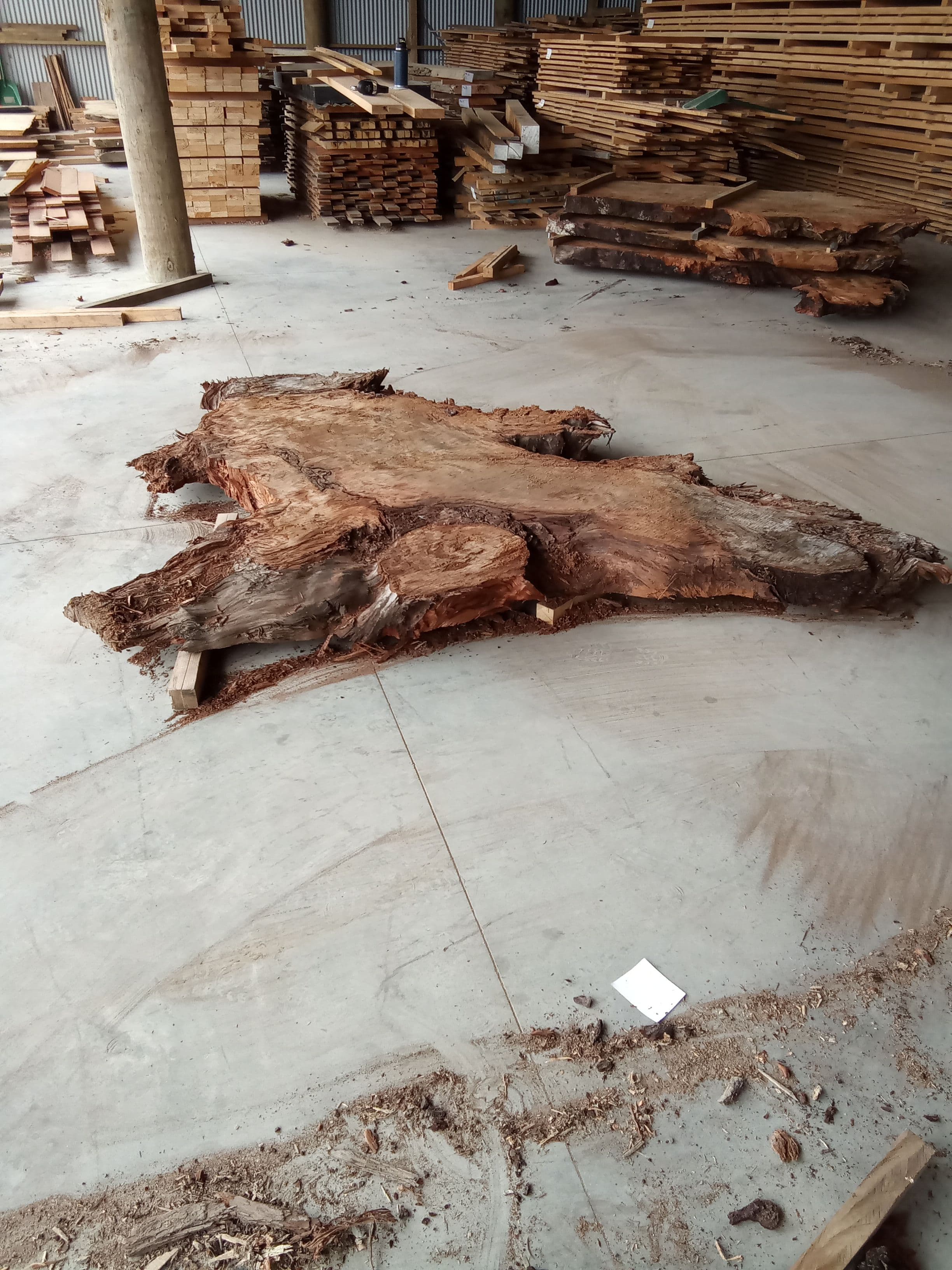 Kauri Slab #8 view 2
