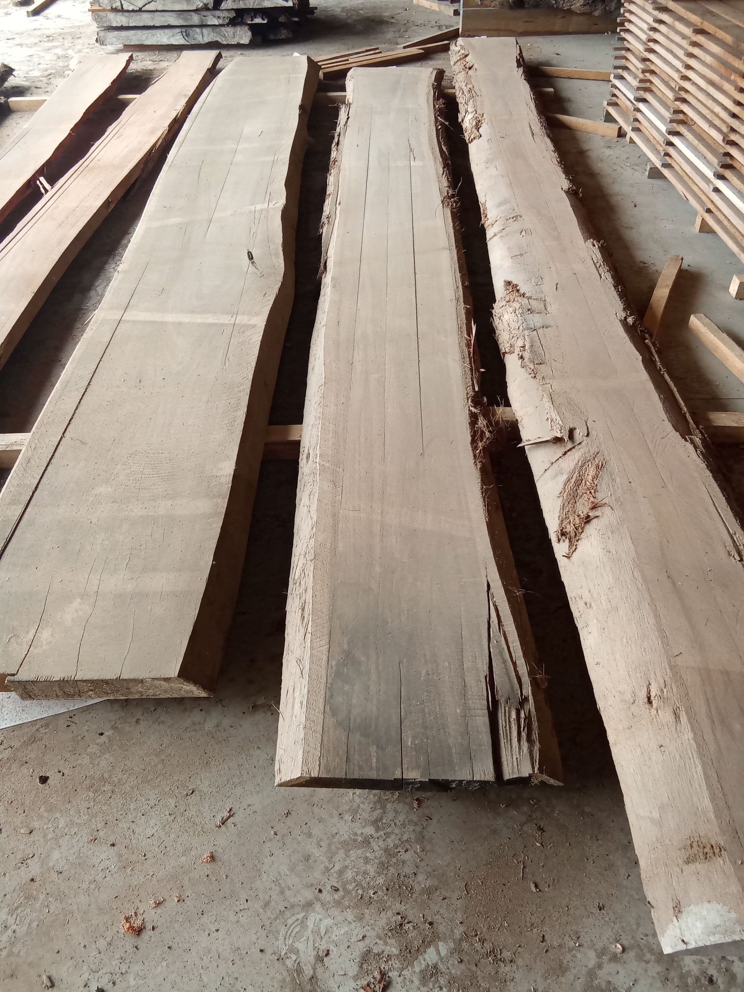 Blackbutt Eucalyptus Slab #13 view 2