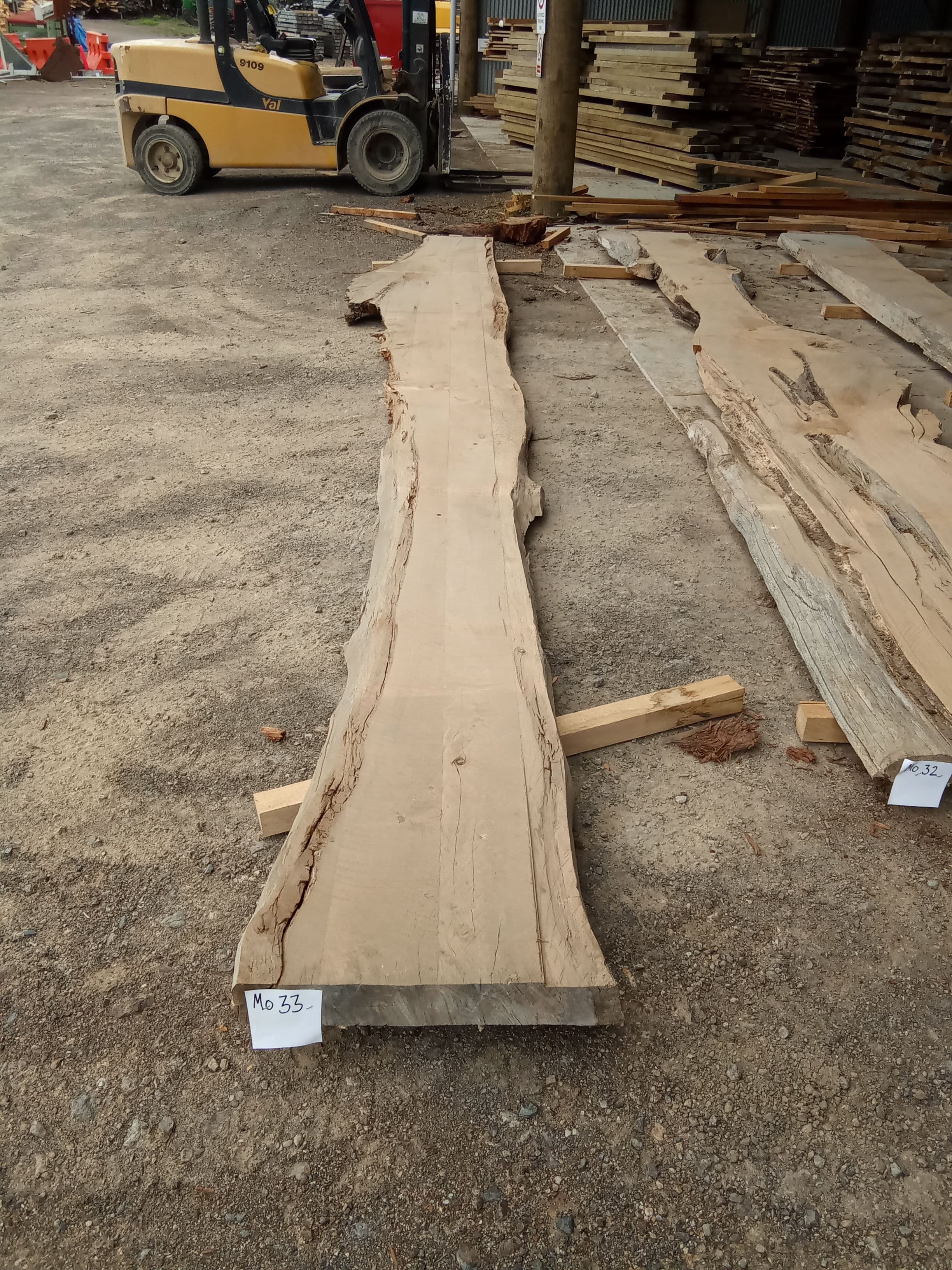Macrocarpa Slab #33