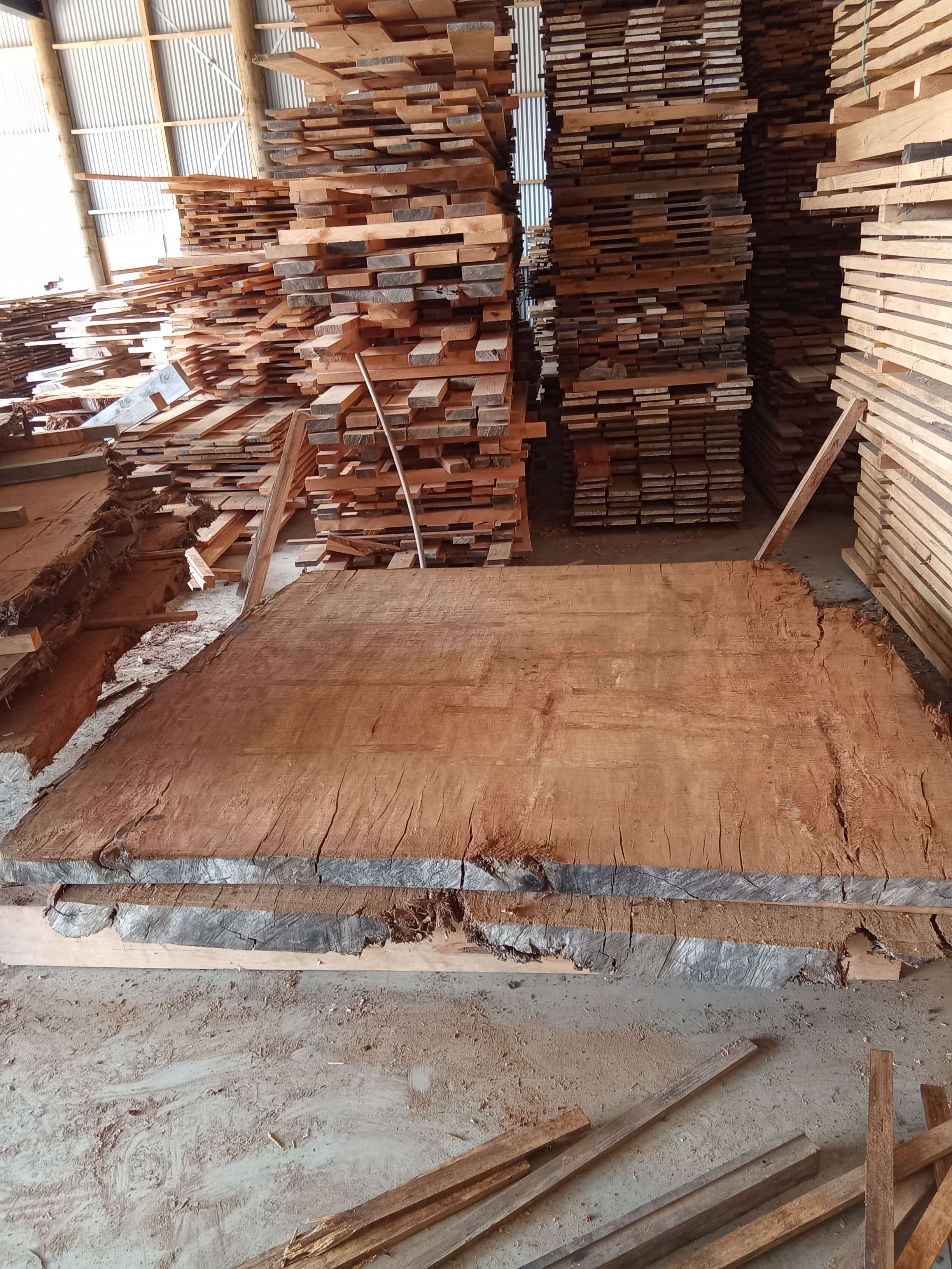 Kauri Slab #18 view 2