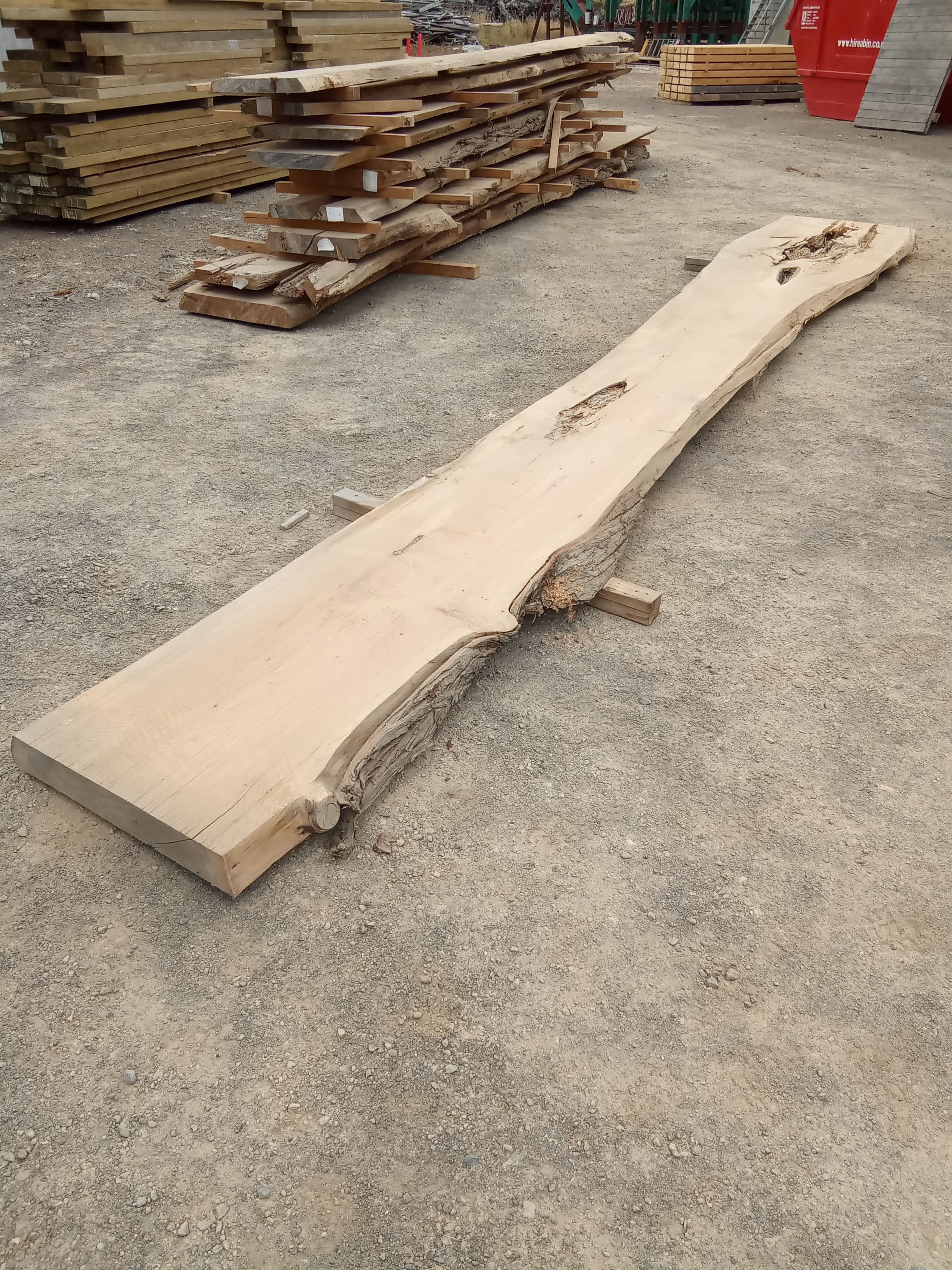 Macrocarpa Slab #11 view 1