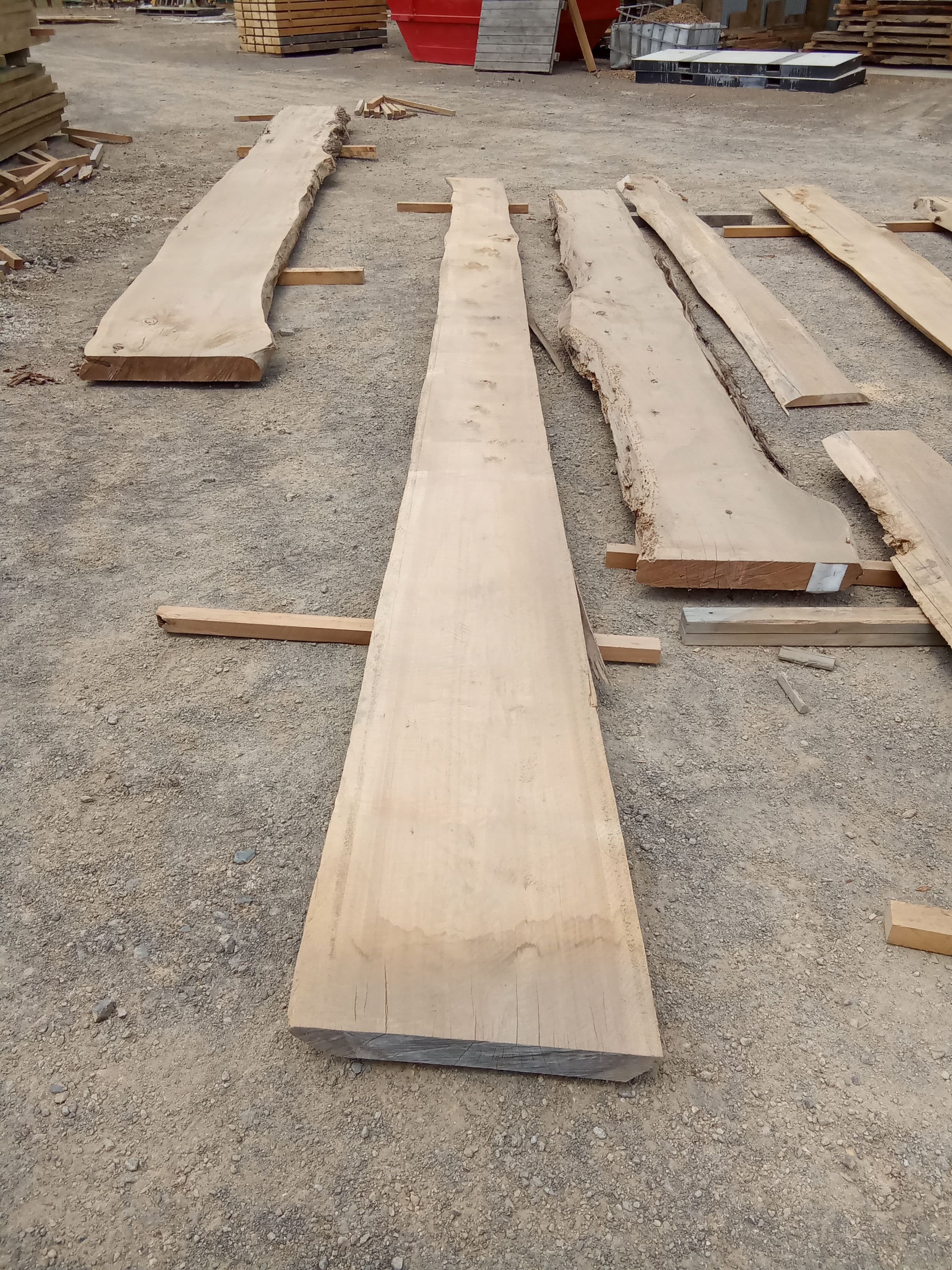 Macrocarpa Slab #13 view 2