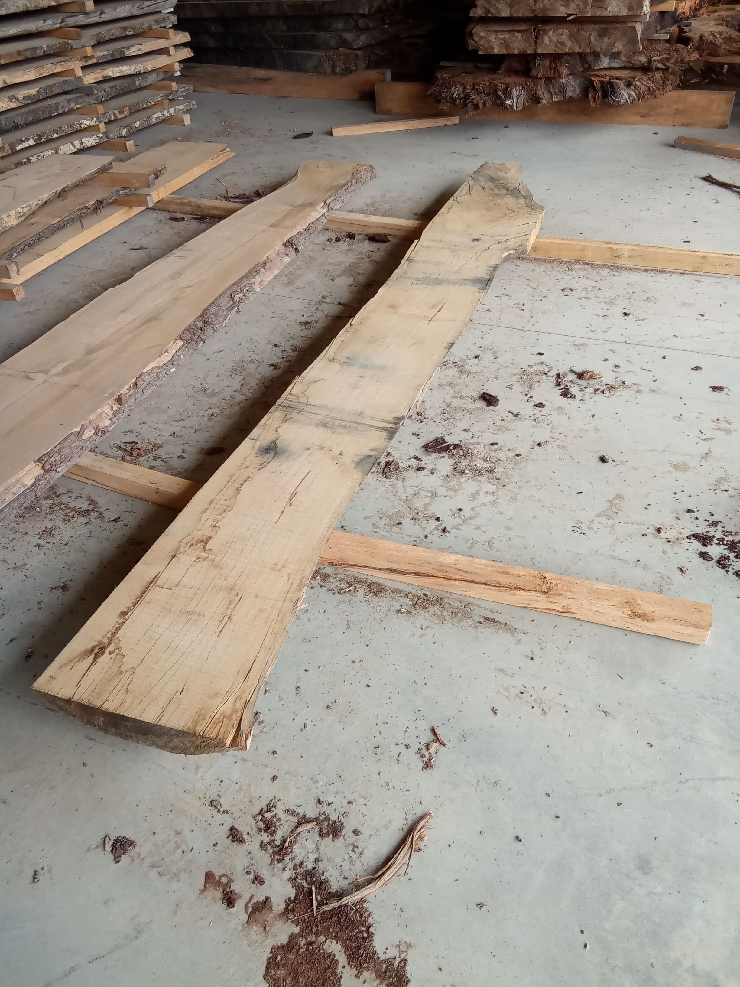Blackbutt Eucalyptus Slab #5 view 1