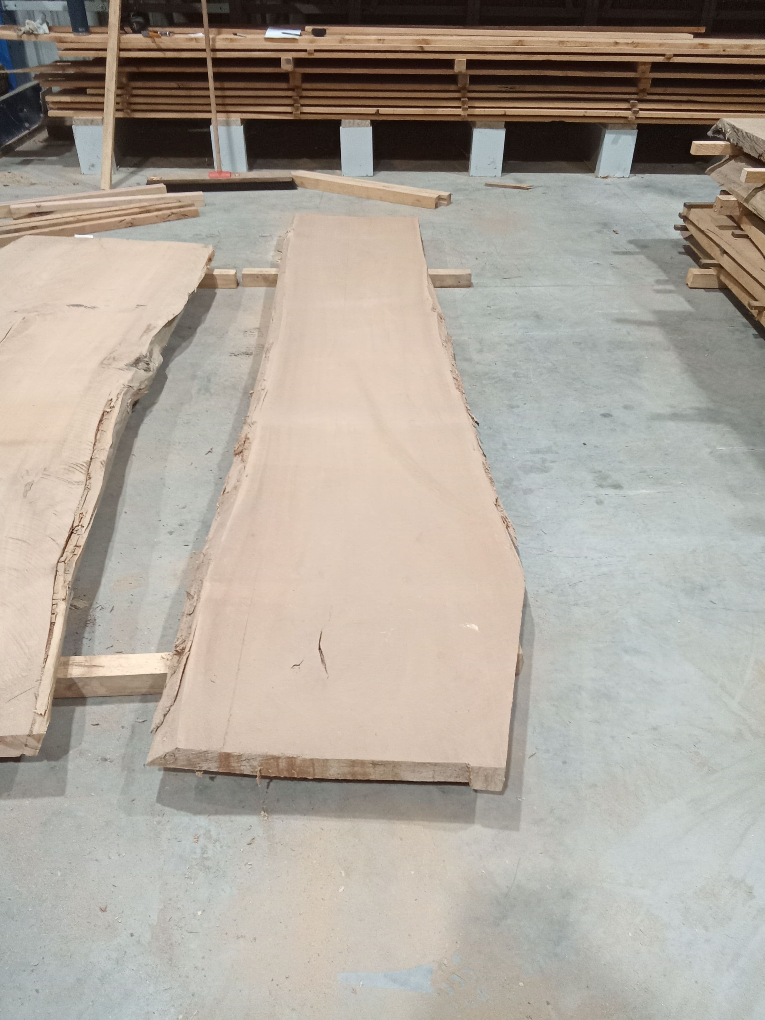 Saligna Eucalyptus Slab #20 view 2