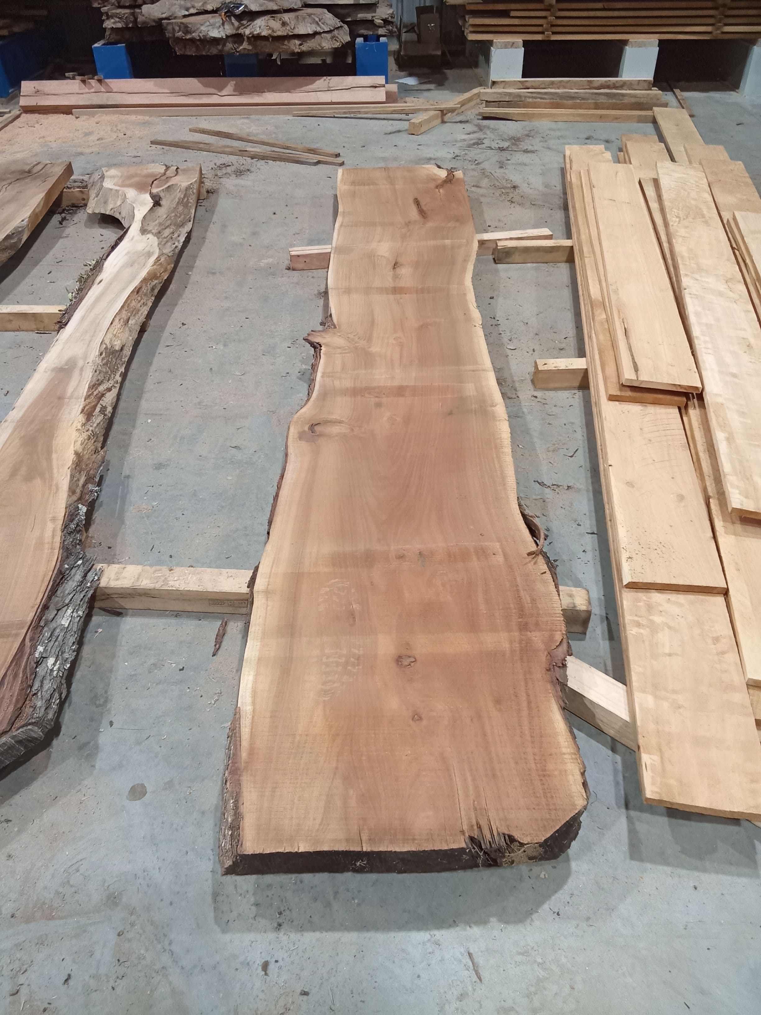 Blackwood Slab #6 view 2
