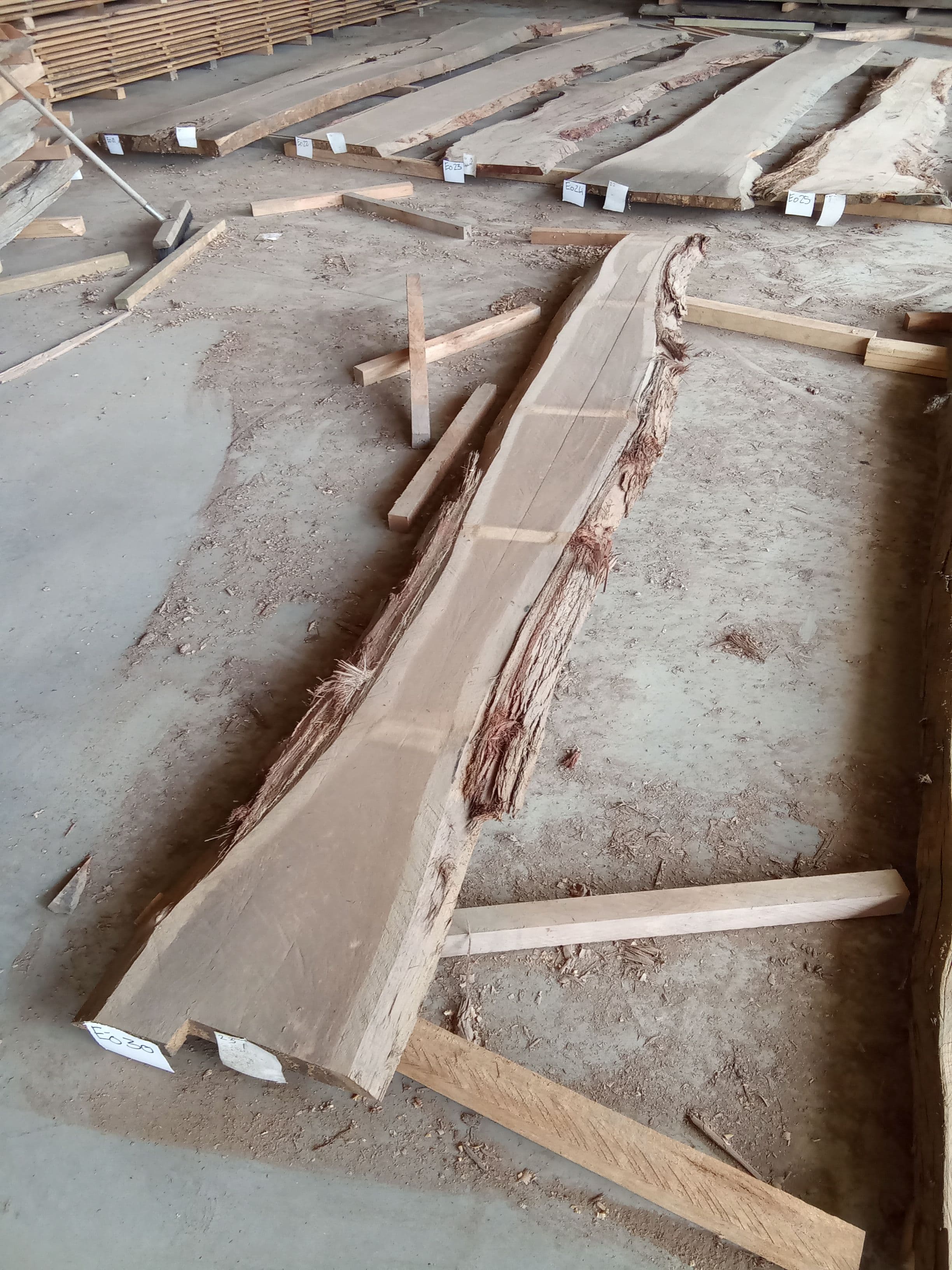 Blackbutt Eucalyptus Slab #30 view 1