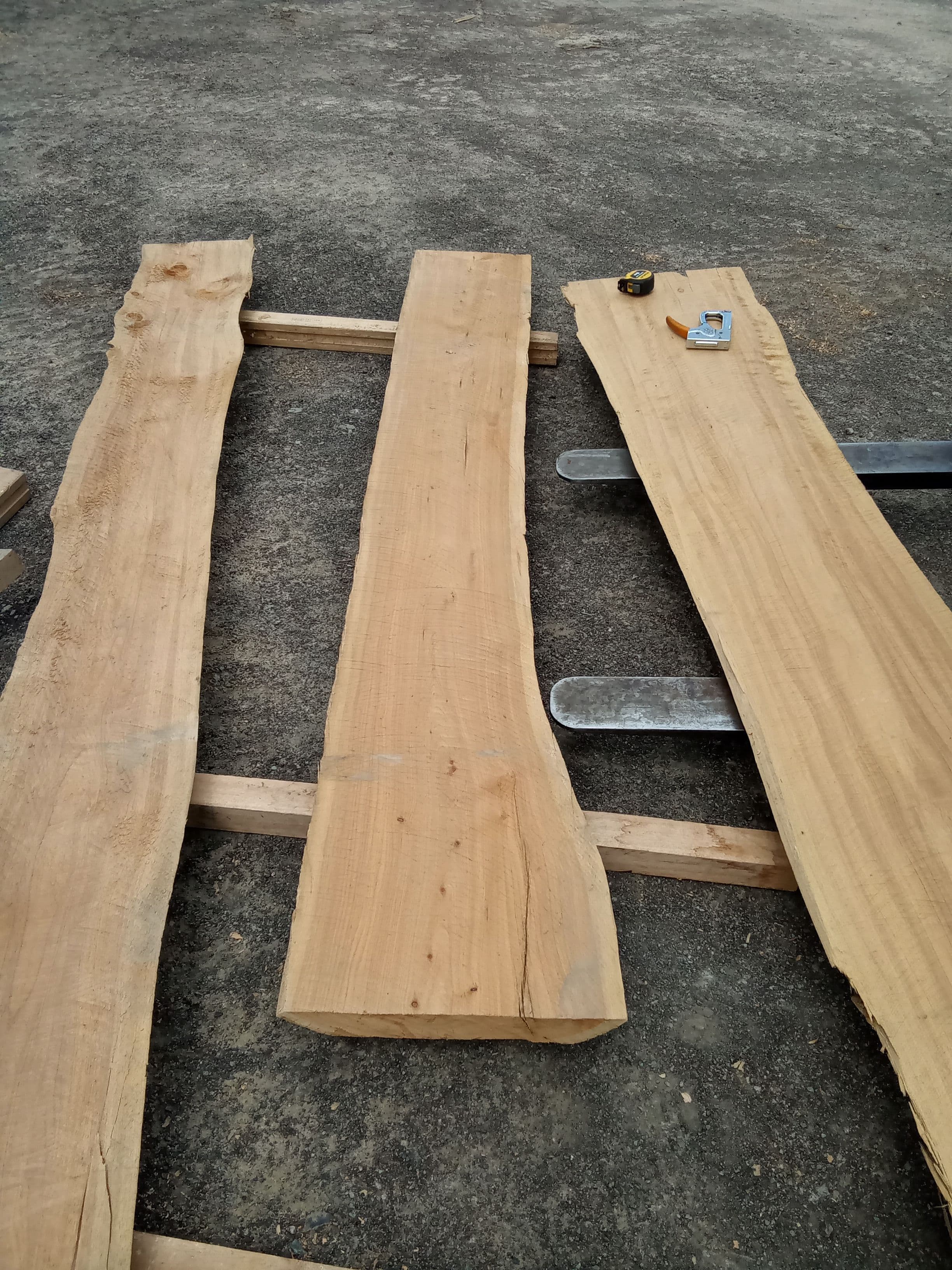 Macrocarpa Slab #41 view 2