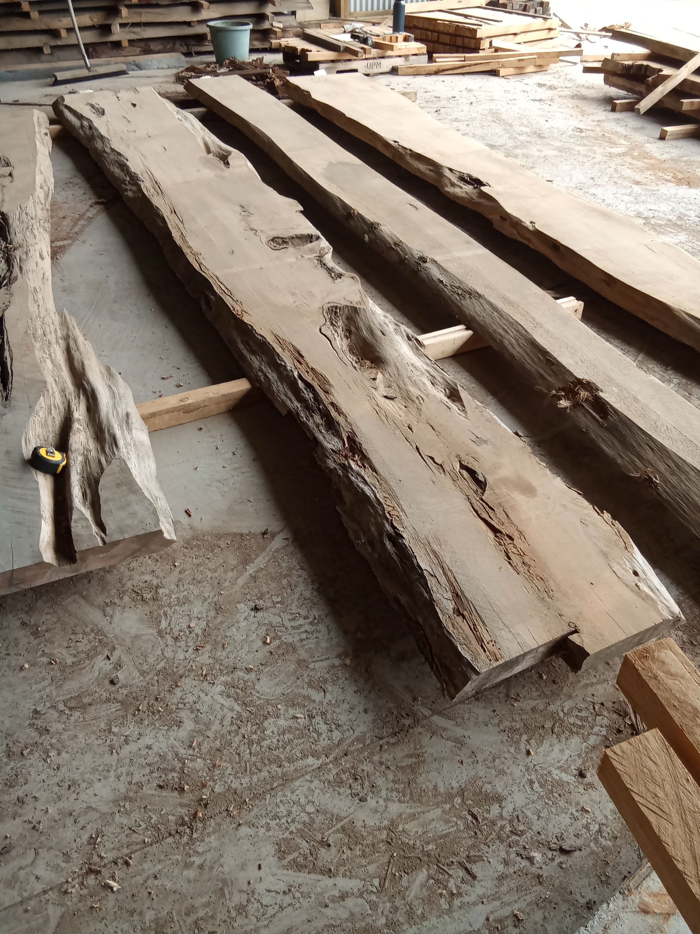 Macrocarpa Slab #28 view 1
