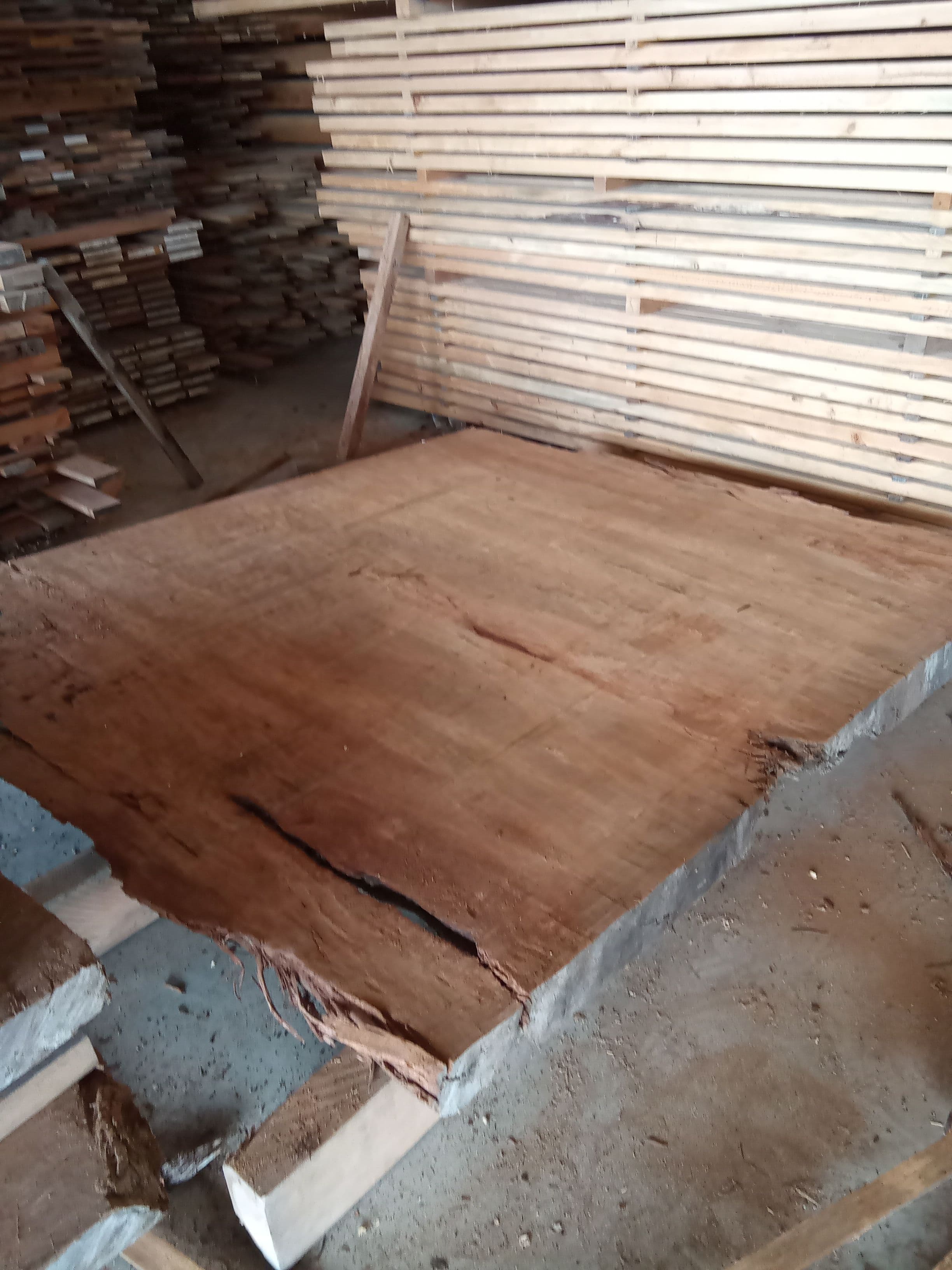 Kauri Slab #20 view 1