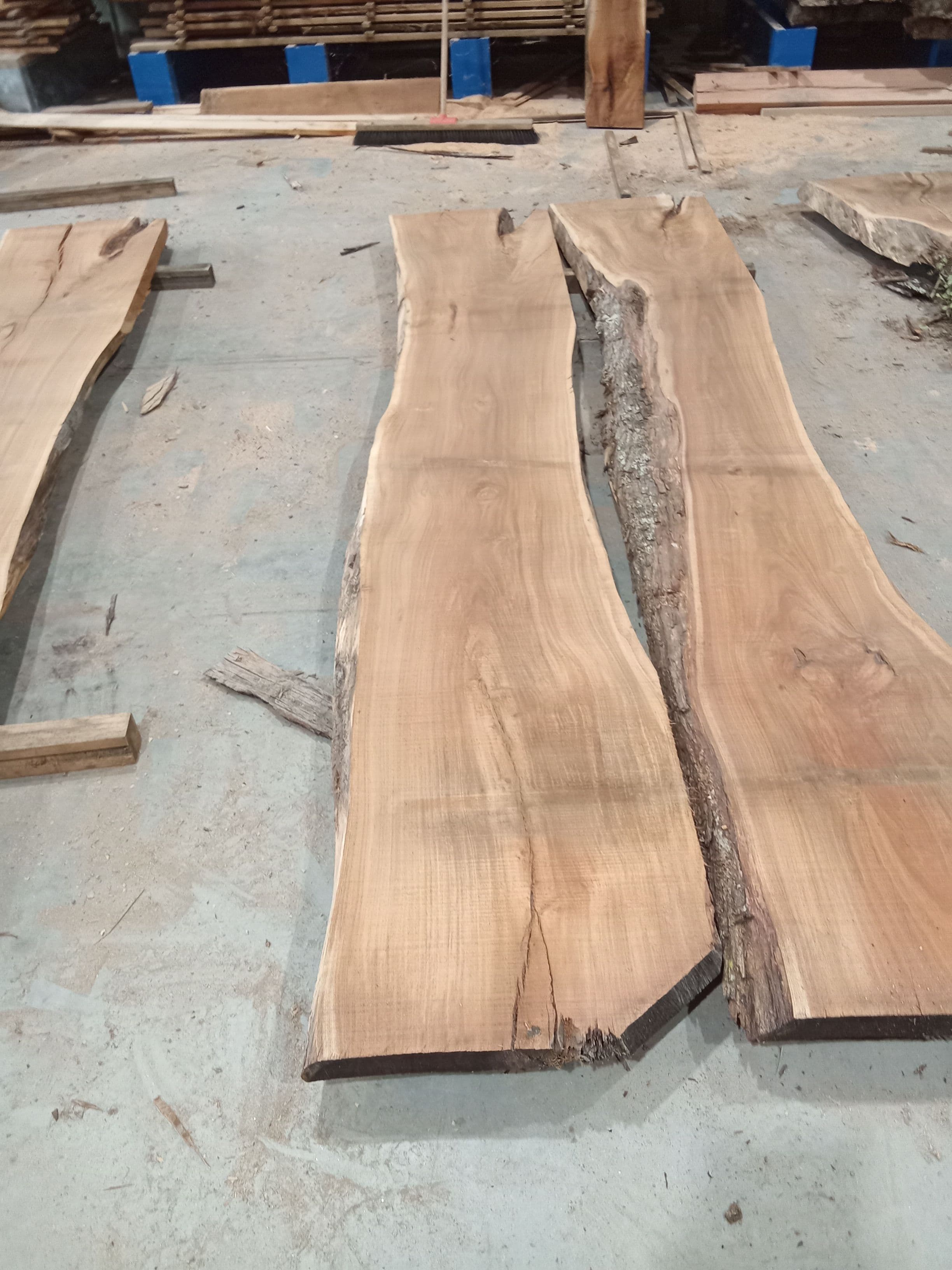 Blackwood Slab #4 view 2