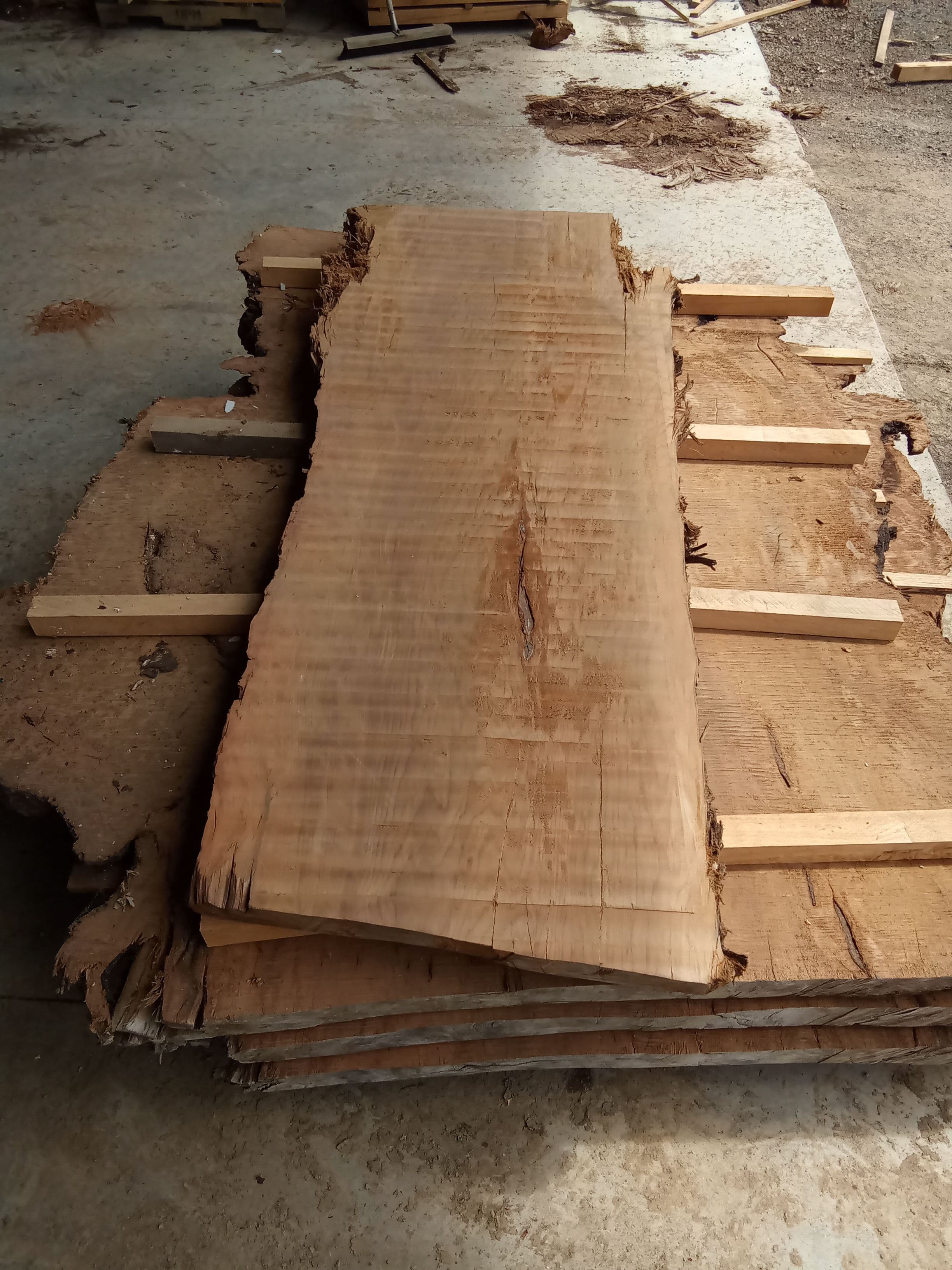 Kauri Slab #19 view 2