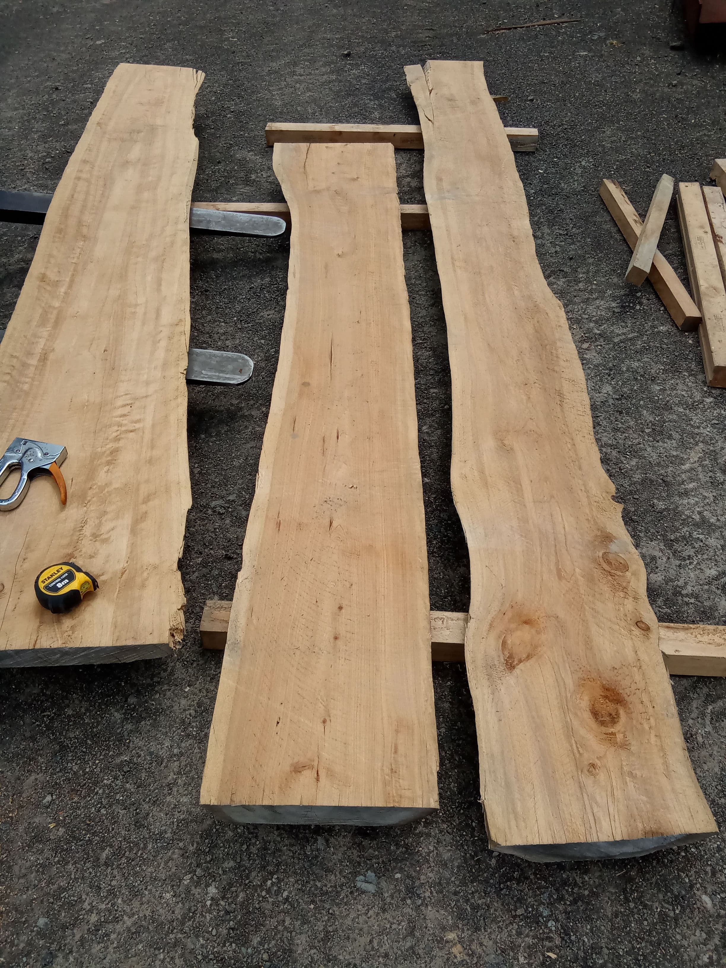 Macrocarpa Slab #41