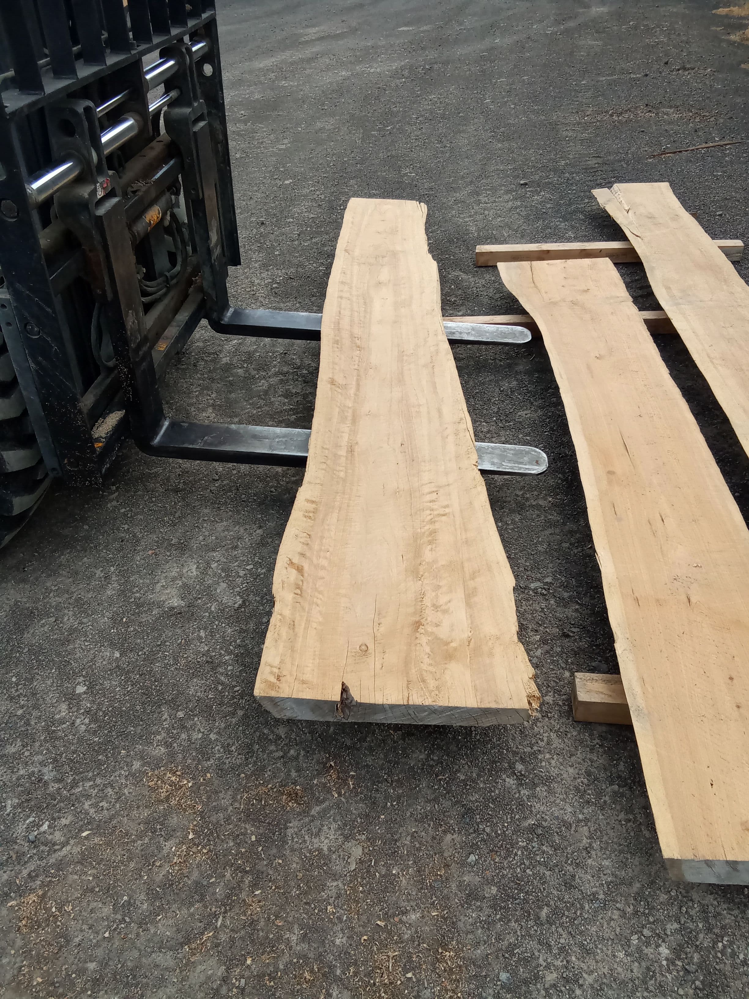 Macrocarpa Slab #40