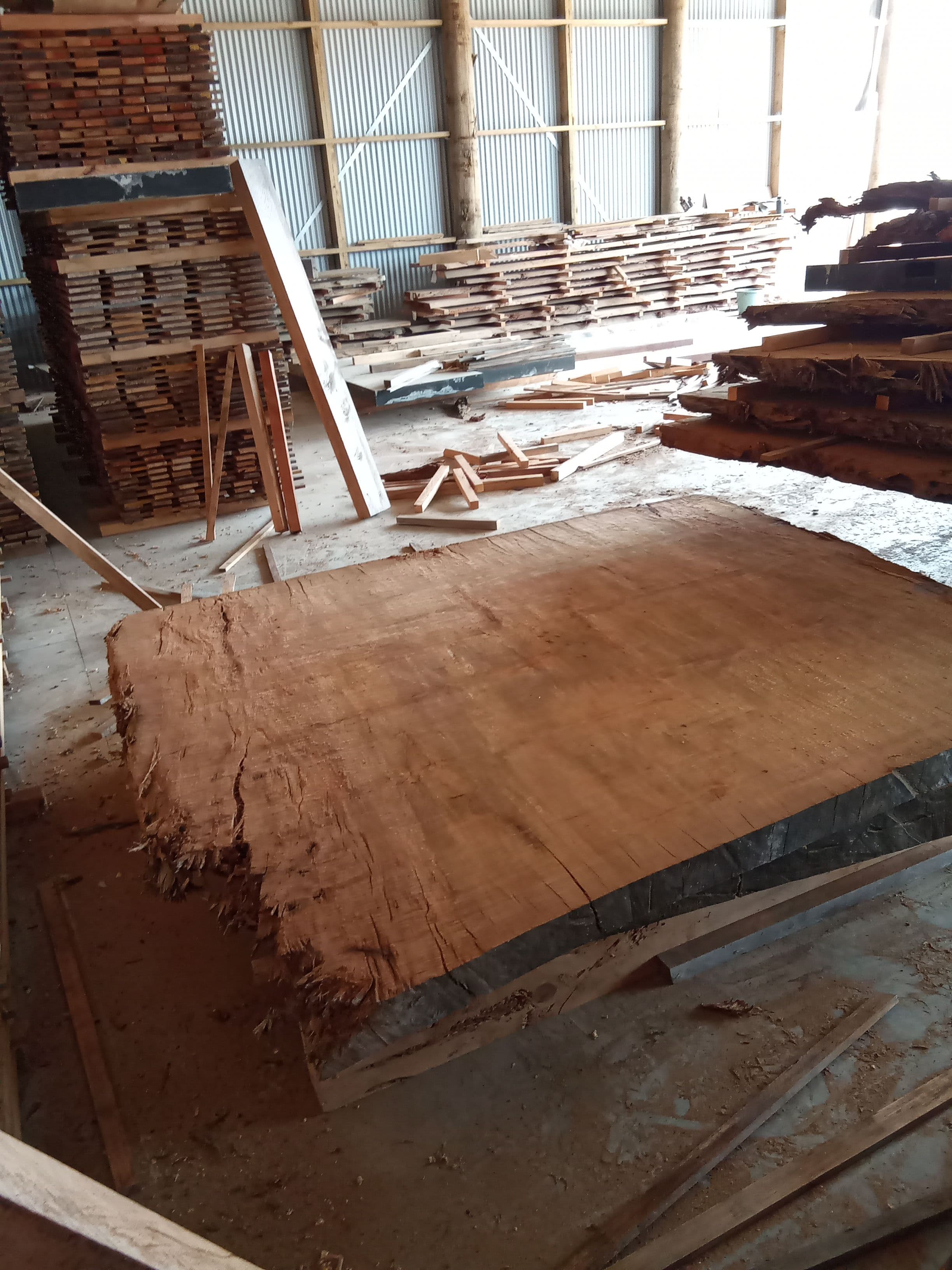 Kauri Slab #18 view 1