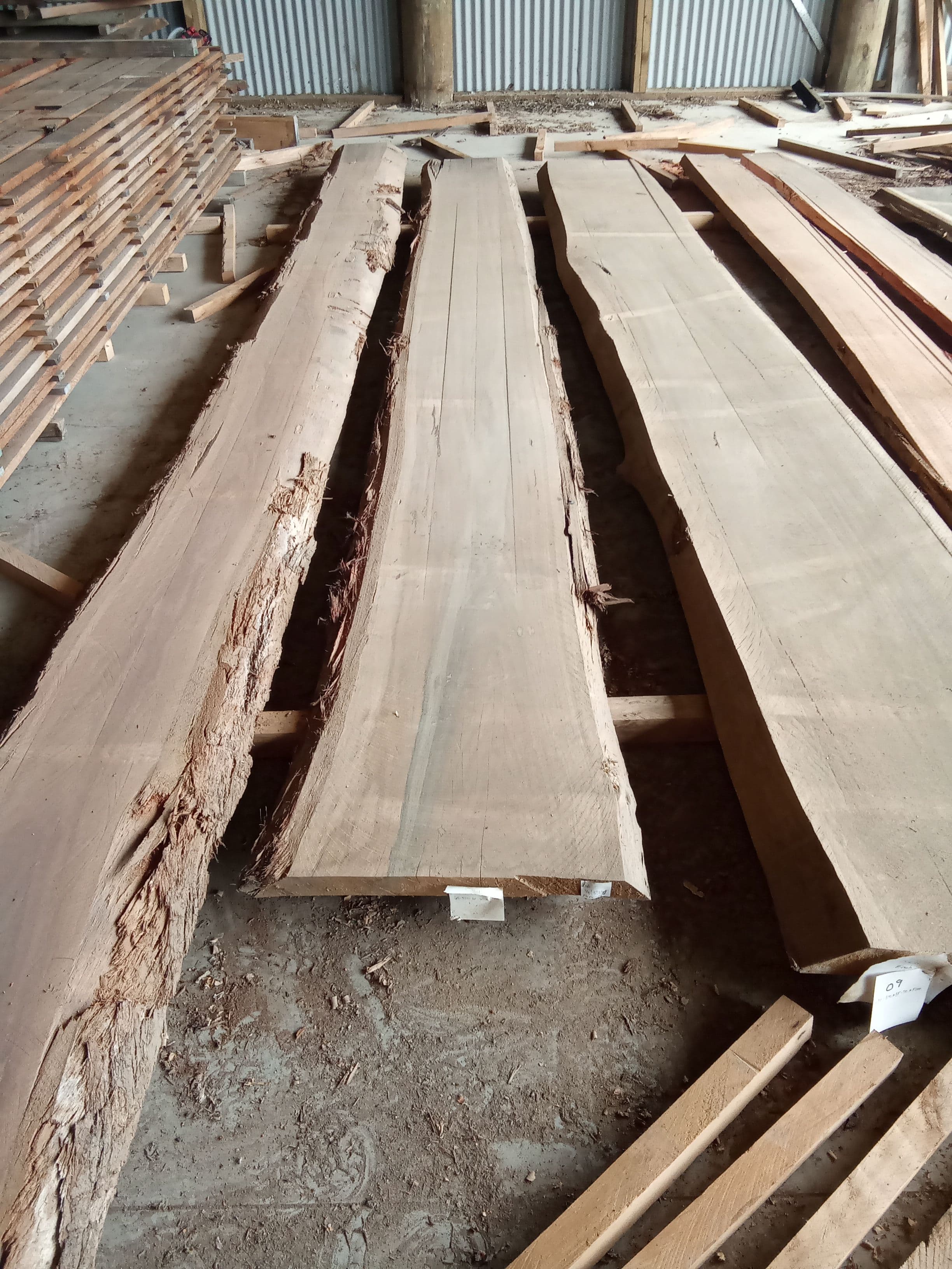 Blackbutt Eucalyptus Slab #13