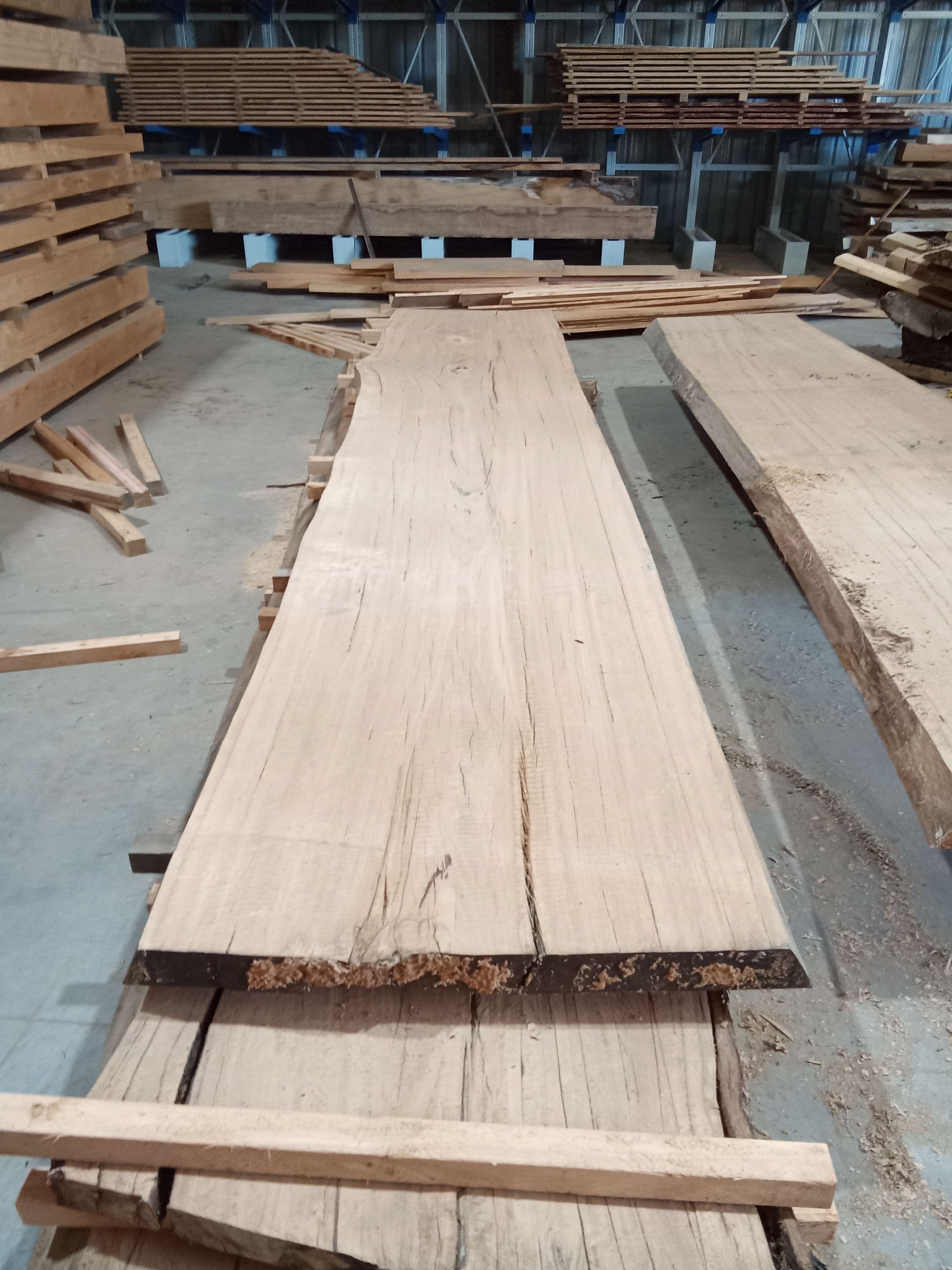 Blackbutt Eucalyptus Slab #3 view 2