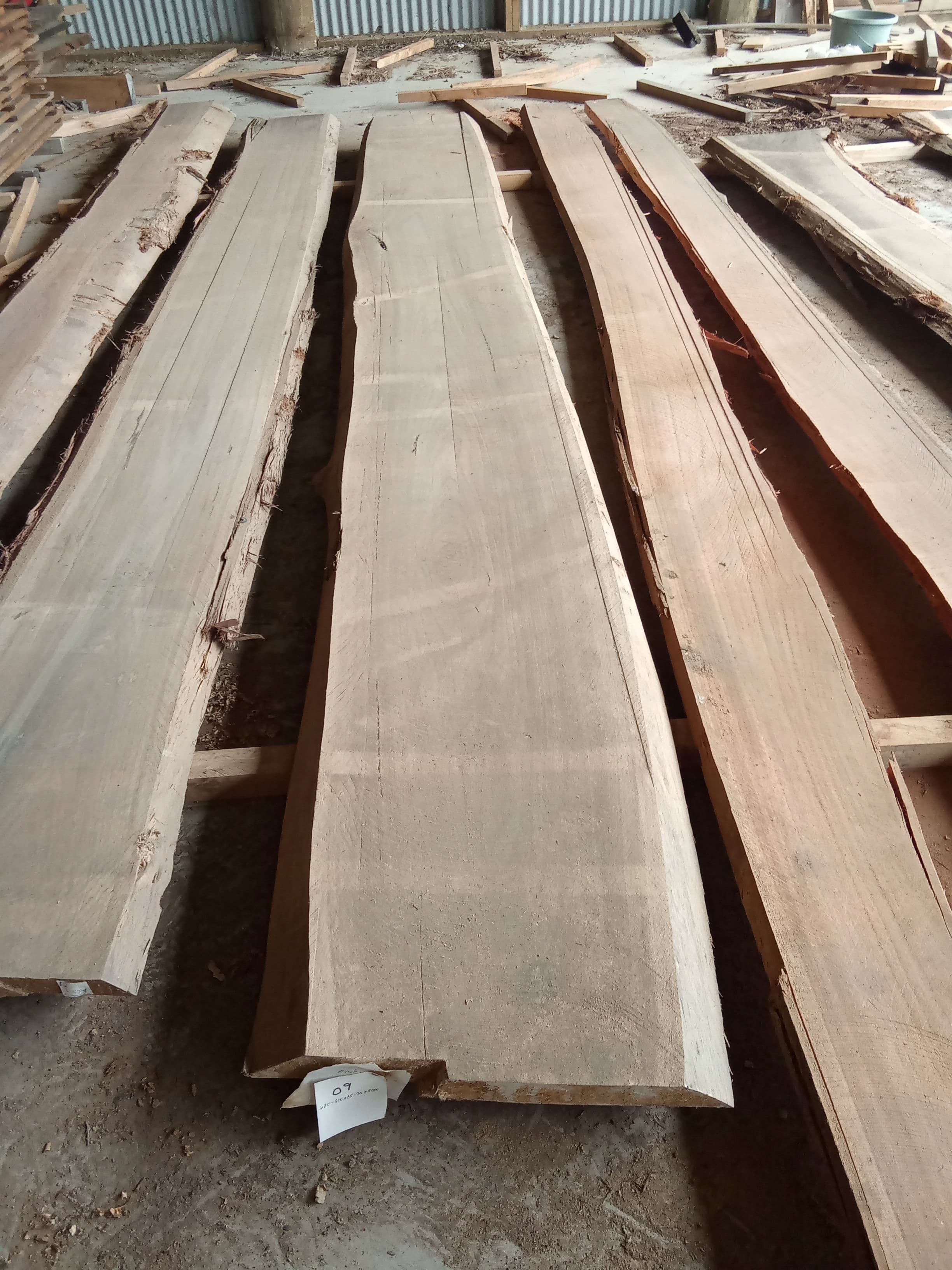 Blackbutt Eucalyptus Slab #14