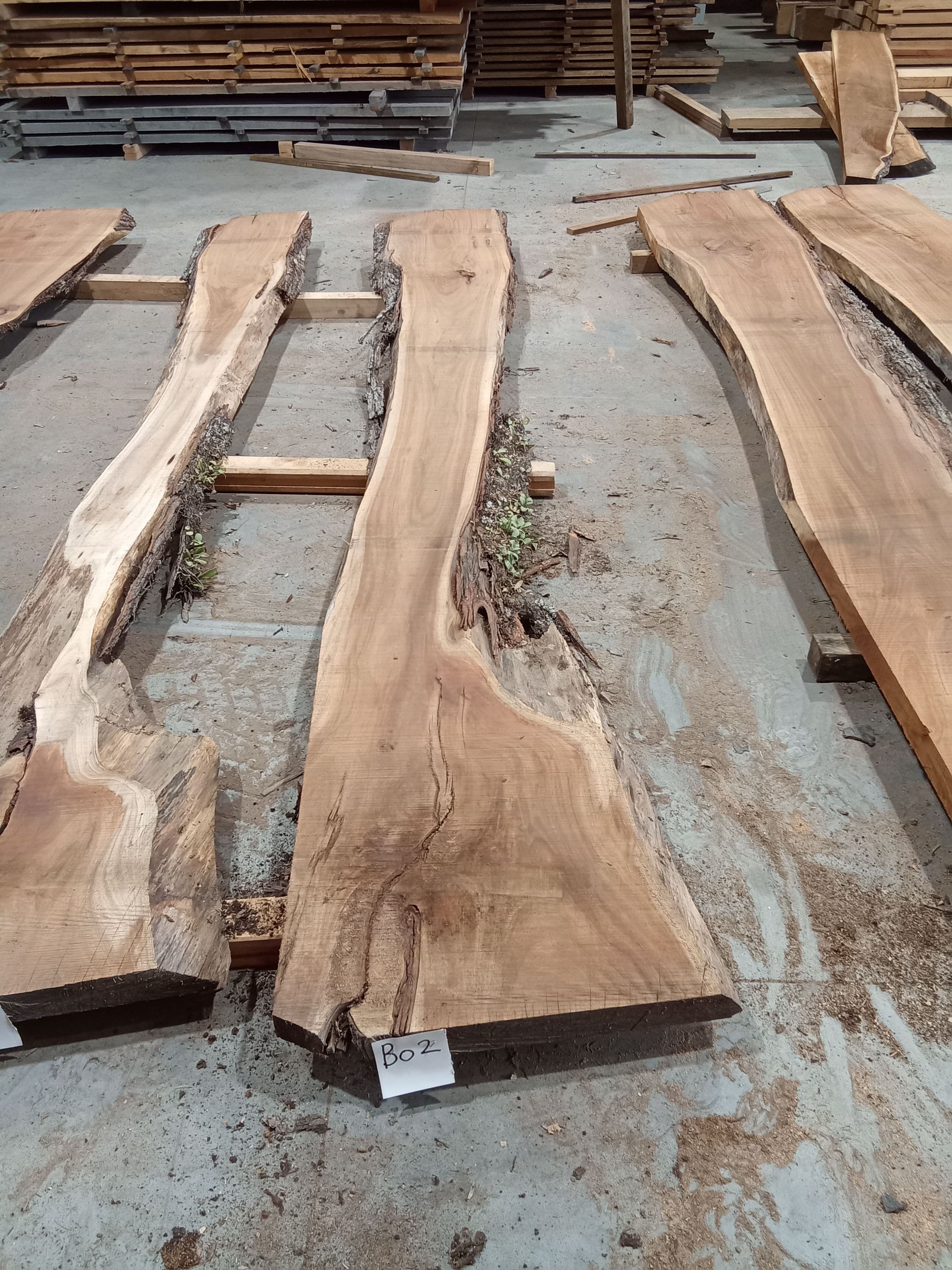 Blackwood Slab #2 view 2