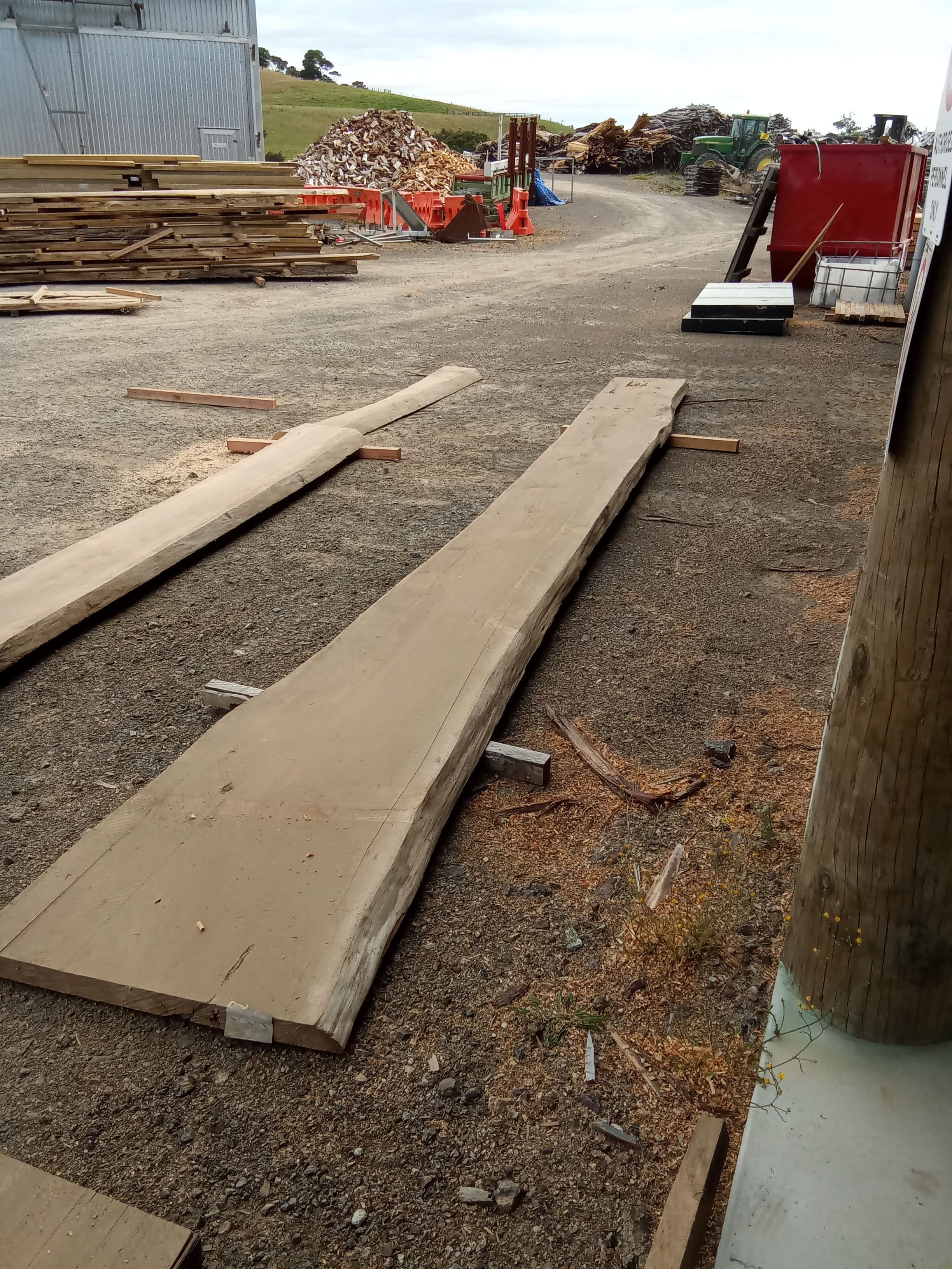 Macrocarpa Slab #2 view 1