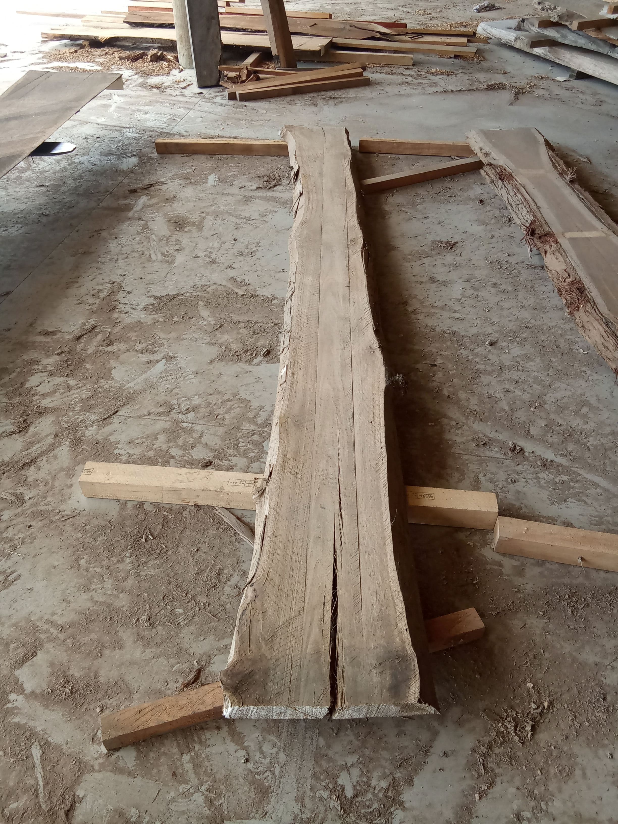 Blackbutt Eucalyptus Slab #29 view 2