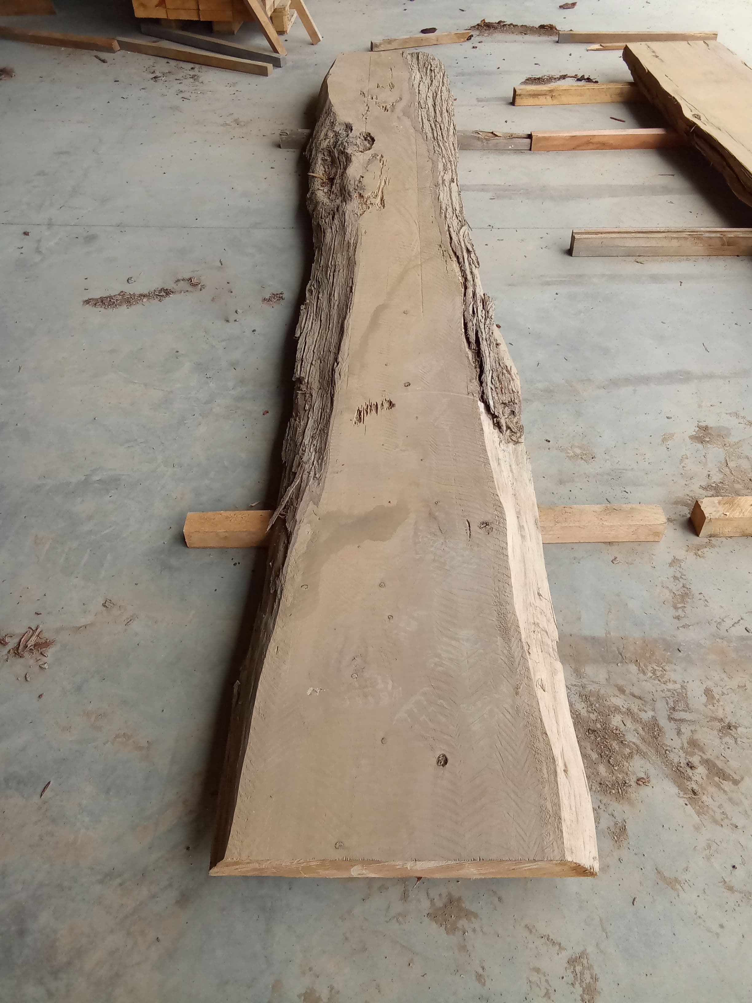 Macrocarpa Slab #24